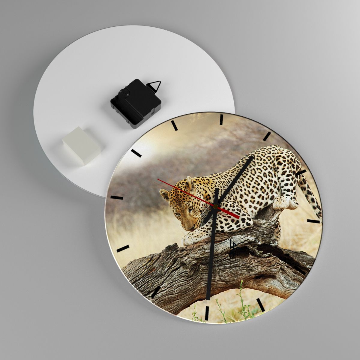 Nástěnné hodiny Zvířata, Nástěnné hodiny Leopard, Nástěnné hodiny Afrika, Nástěnné hodiny Divoká Kočka, Nástěnné hodiny Savana