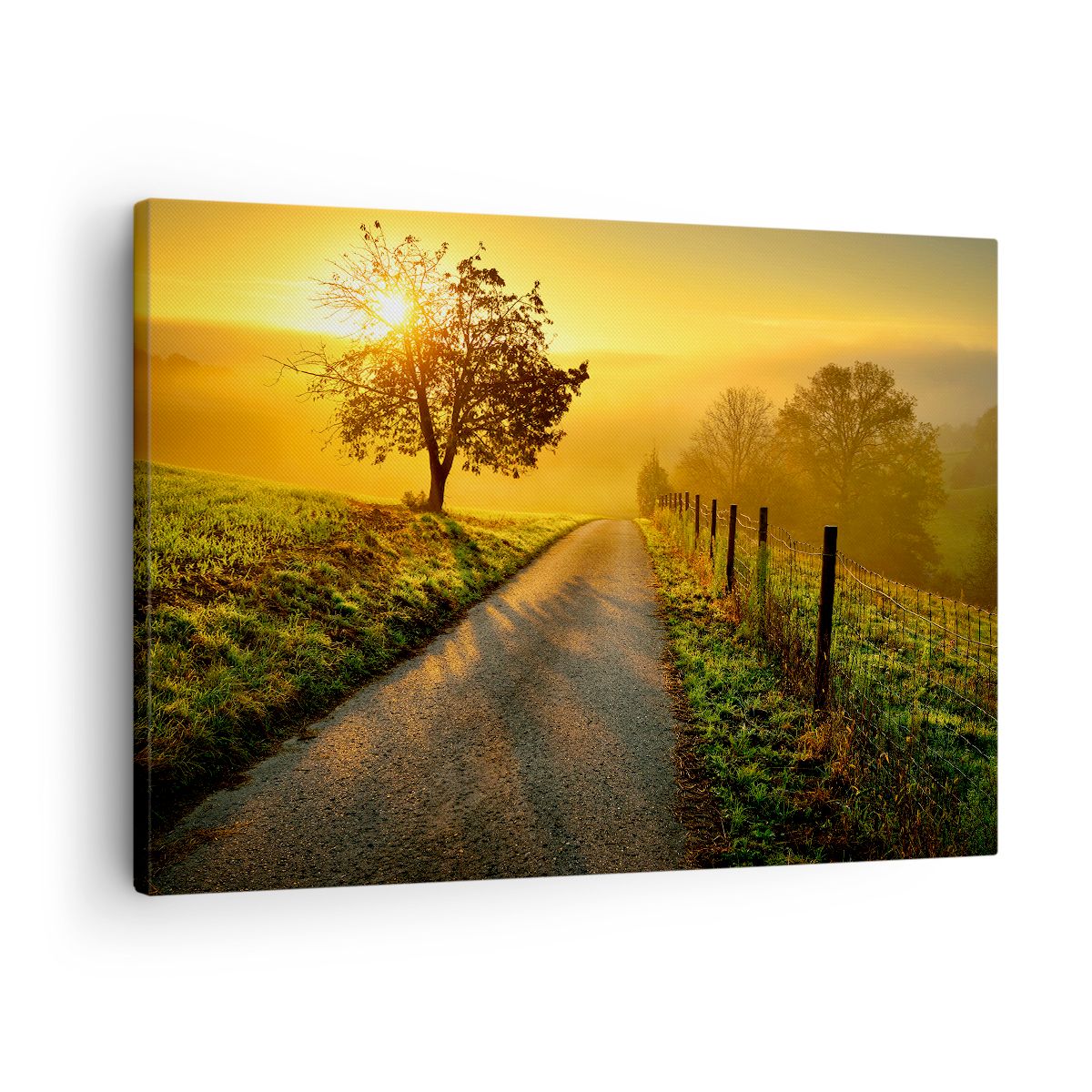 Obraz Na Płótnie - Droga Pole Łąka - 70X50 Cm - Aa70X50-3851
