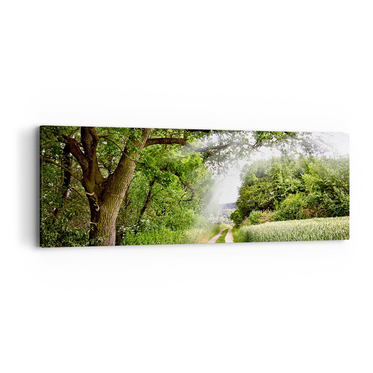 Obraz Na Płótnie - Las Pole Droga - 90X30 Cm - Ab90X30-2637