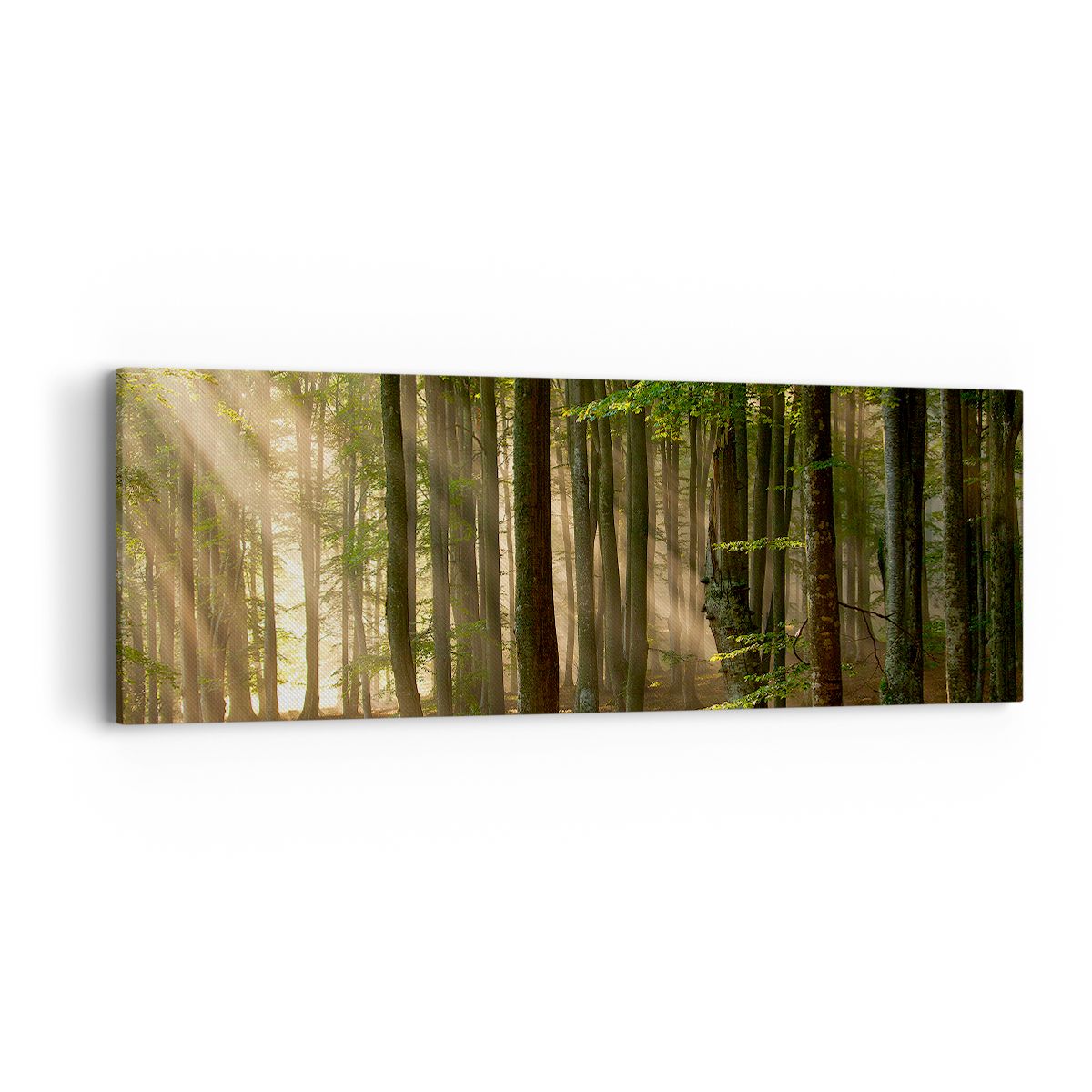 Obraz Na Płótnie - Las Drzewa Chrust  - 90X30 Cm - Ab90X30-3628