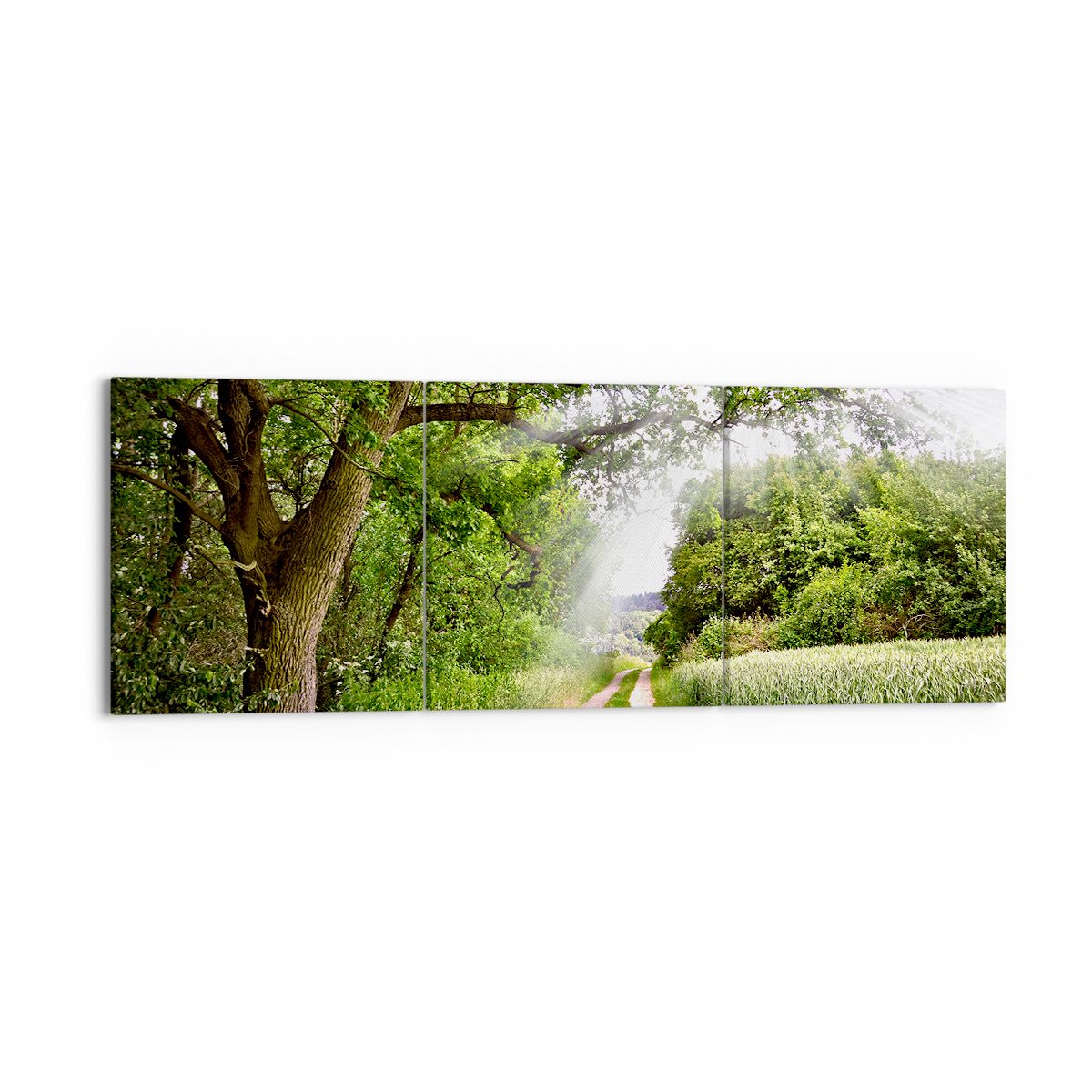 Obraz Na Płótnie - Las Pole Droga - 150X50 Cm - Ca150X50-2637