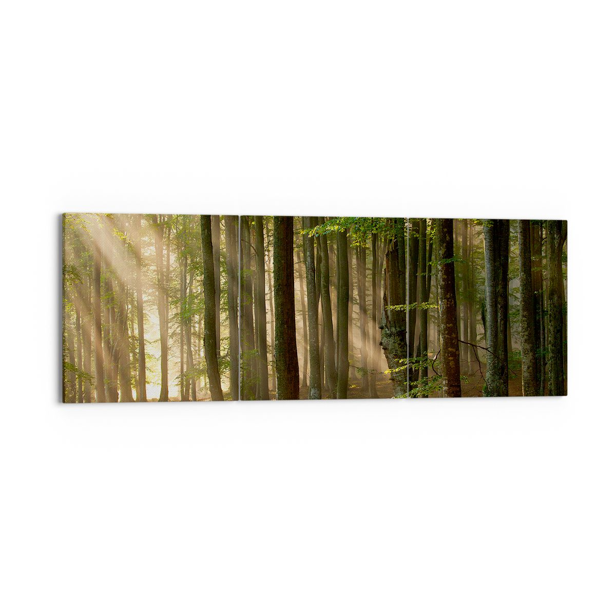 Obraz Na Płótnie - Las Drzewa Chrust  - 150X50 Cm - Ca150X50-3628