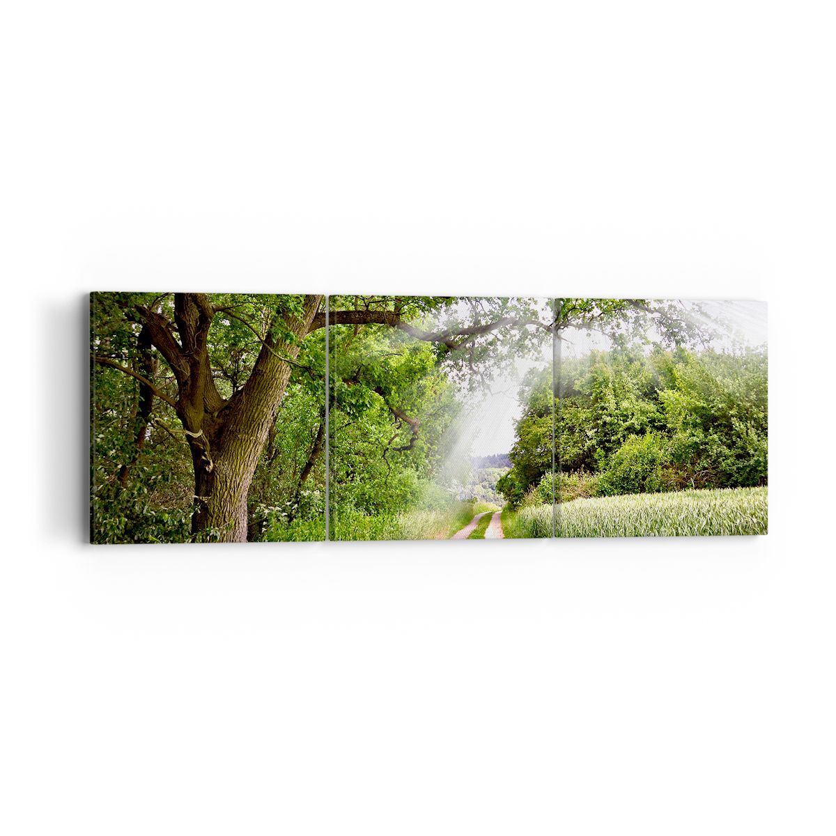 Obraz Na Płótnie - Las Pole Droga - 90X30 Cm - Ca90X30-2637