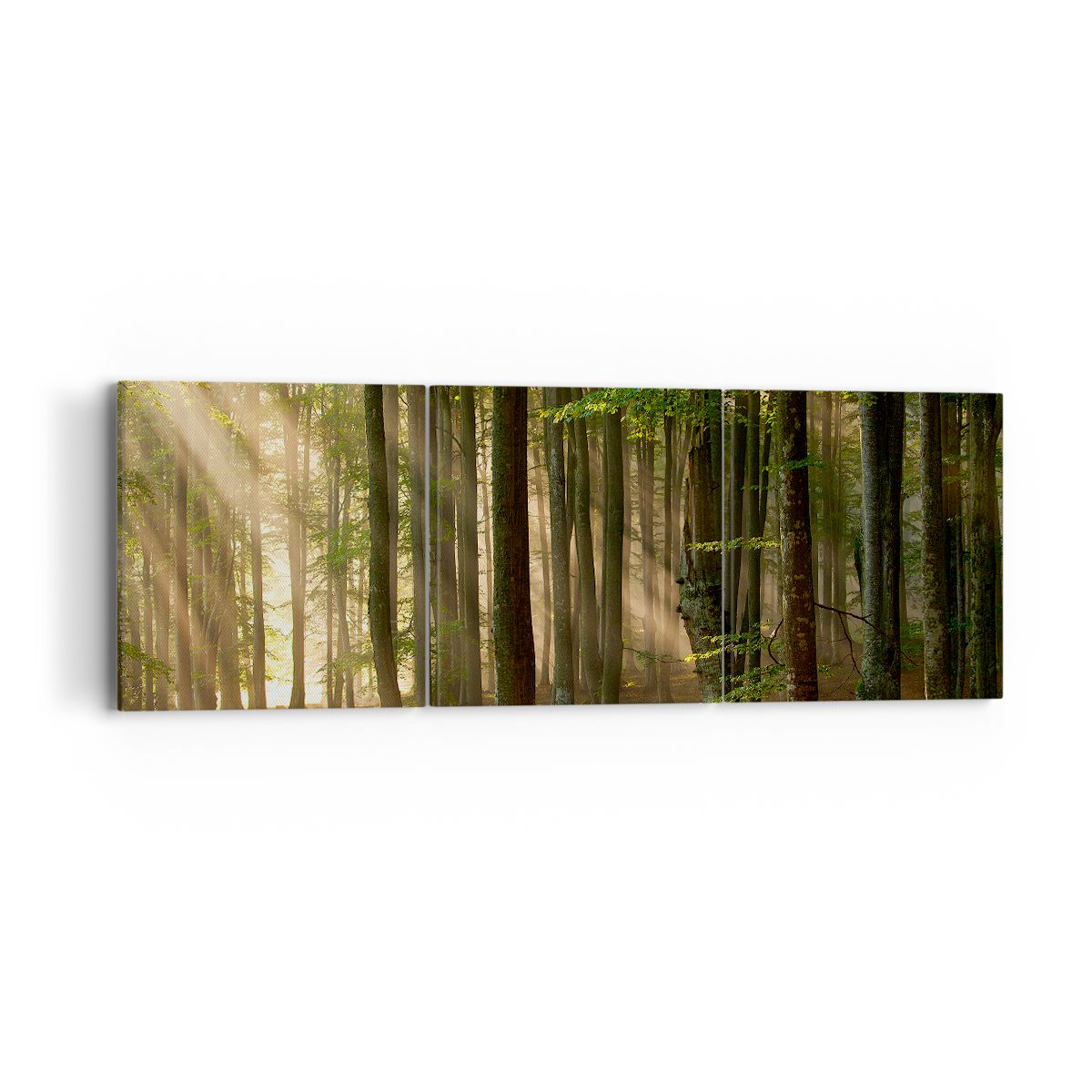 Obraz Na Płótnie - Las Drzewa Chrust  - 90X30 Cm - Ca90X30-3628