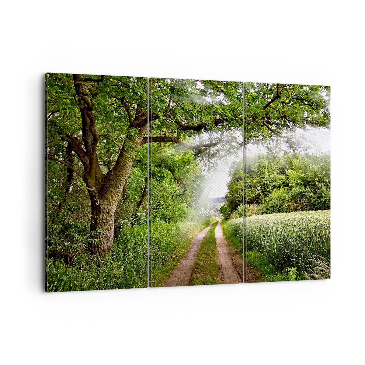 Obraz Na Płótnie - Las Pole Droga - 105X70 Cm - Ce105X70-2637
