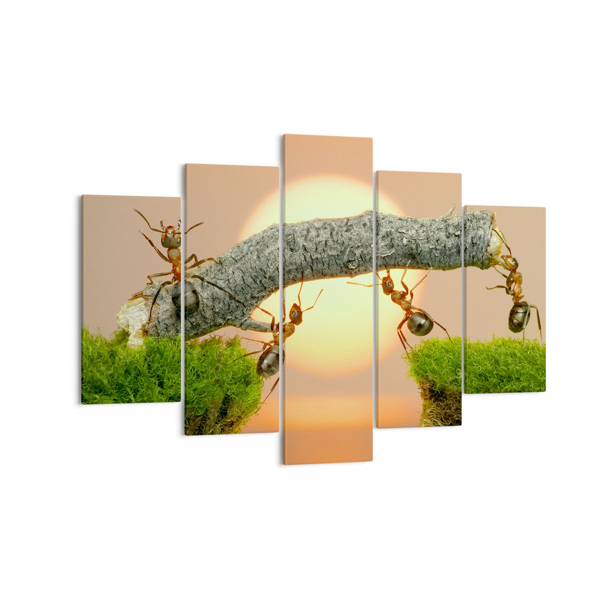 Obraz Na Płótnie - Przyroda Mrówka - 150X100 Cm - Ea150X100-2104