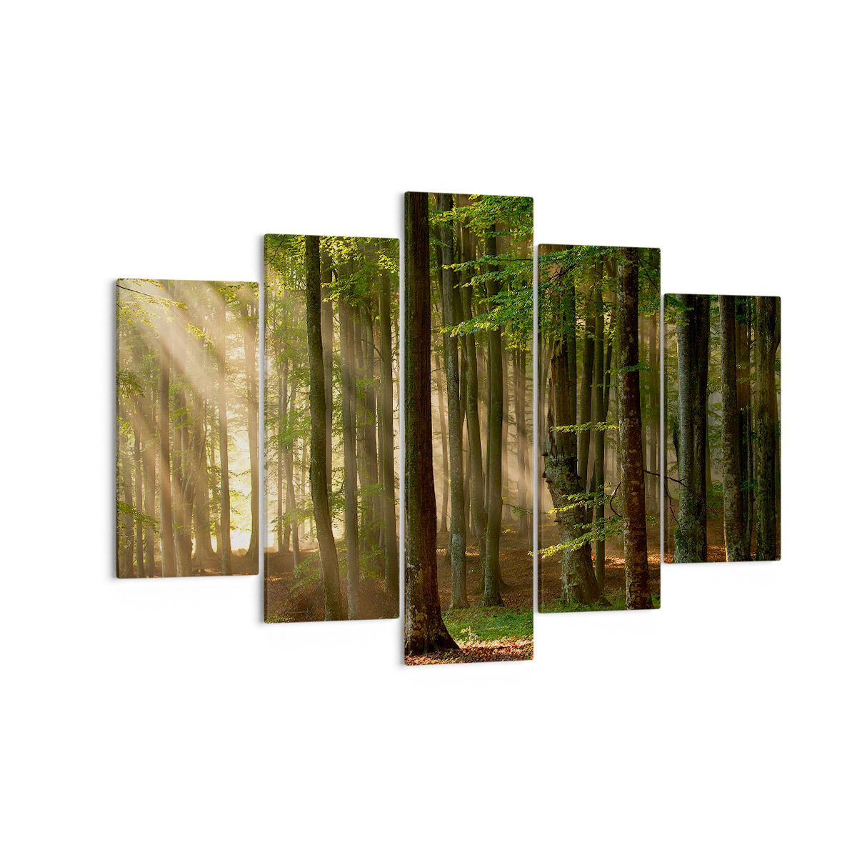 Obraz Na Płótnie - Las Drzewa Chrust  - 150X100 Cm - Ea150X100-3628