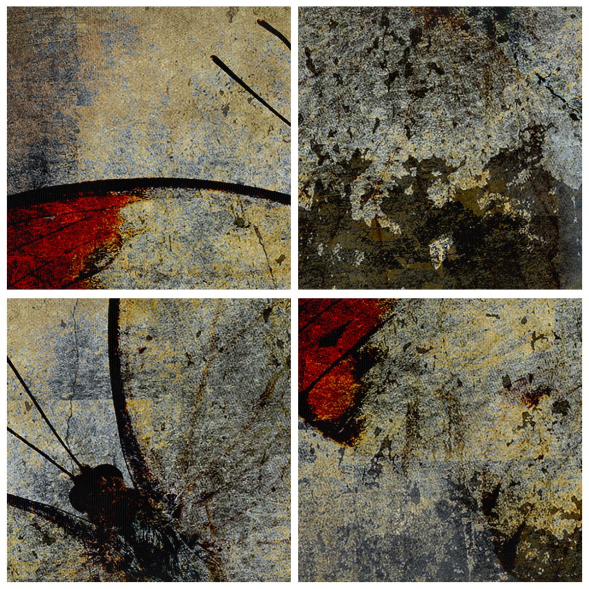 Obraz Na Płótnie - Motyl Wolność  - 150X100 Cm - Ea150X100-3678