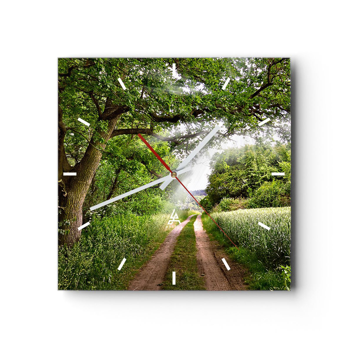 Zegar Ścienny - Las Pole Droga - 40X40 Cm - C3Ac40X40-2637