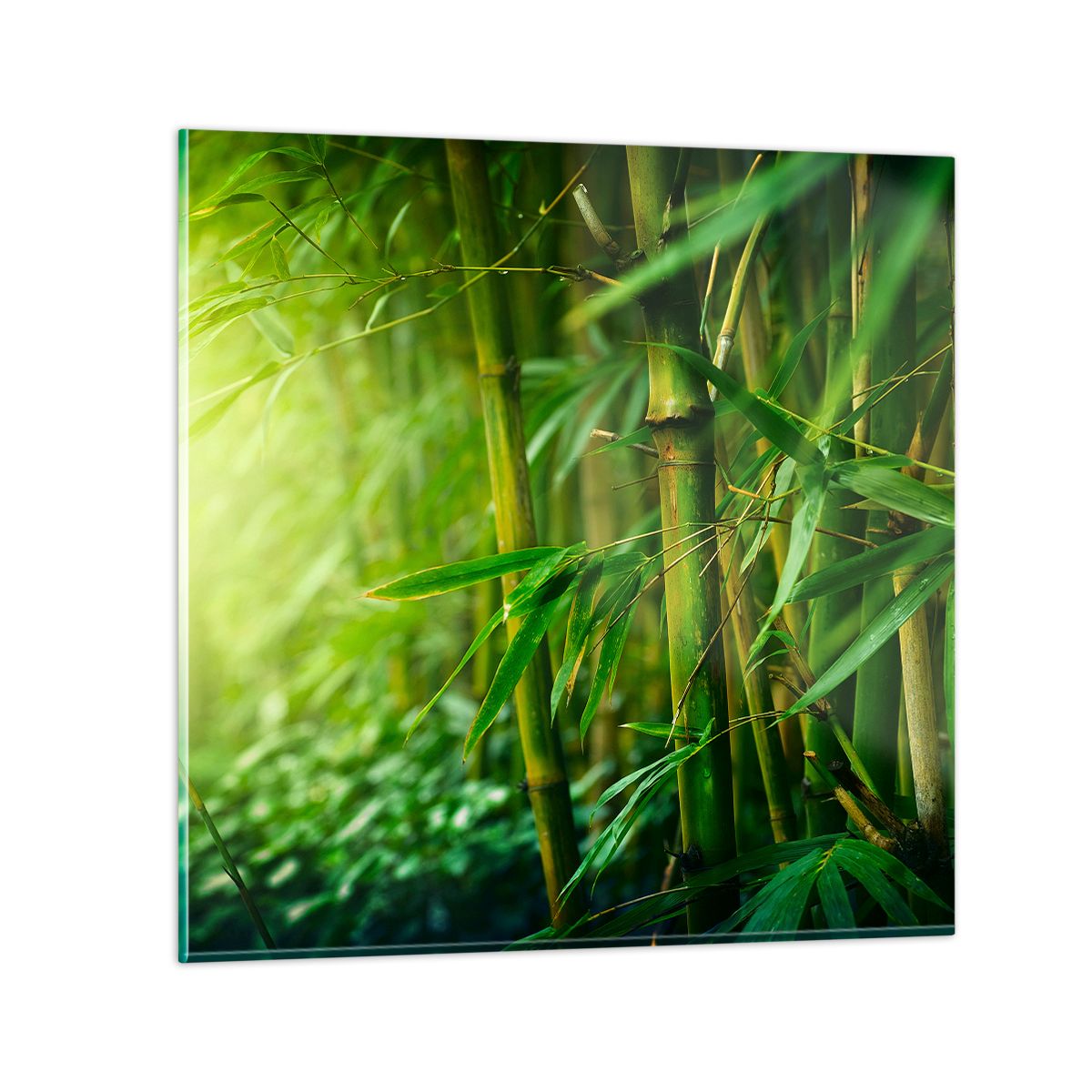 Details about   IMAGE SUR VERRE TABLEAUX bambou vert Asie 30 FORMES FR 3558 