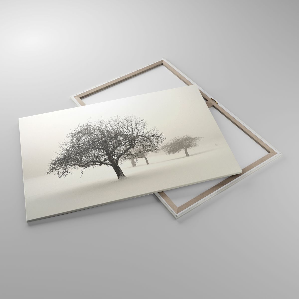 Obrazy Grafika, Obrazy Drzewo, Obrazy Natura, Obrazy Zima, Obrazy Mgła