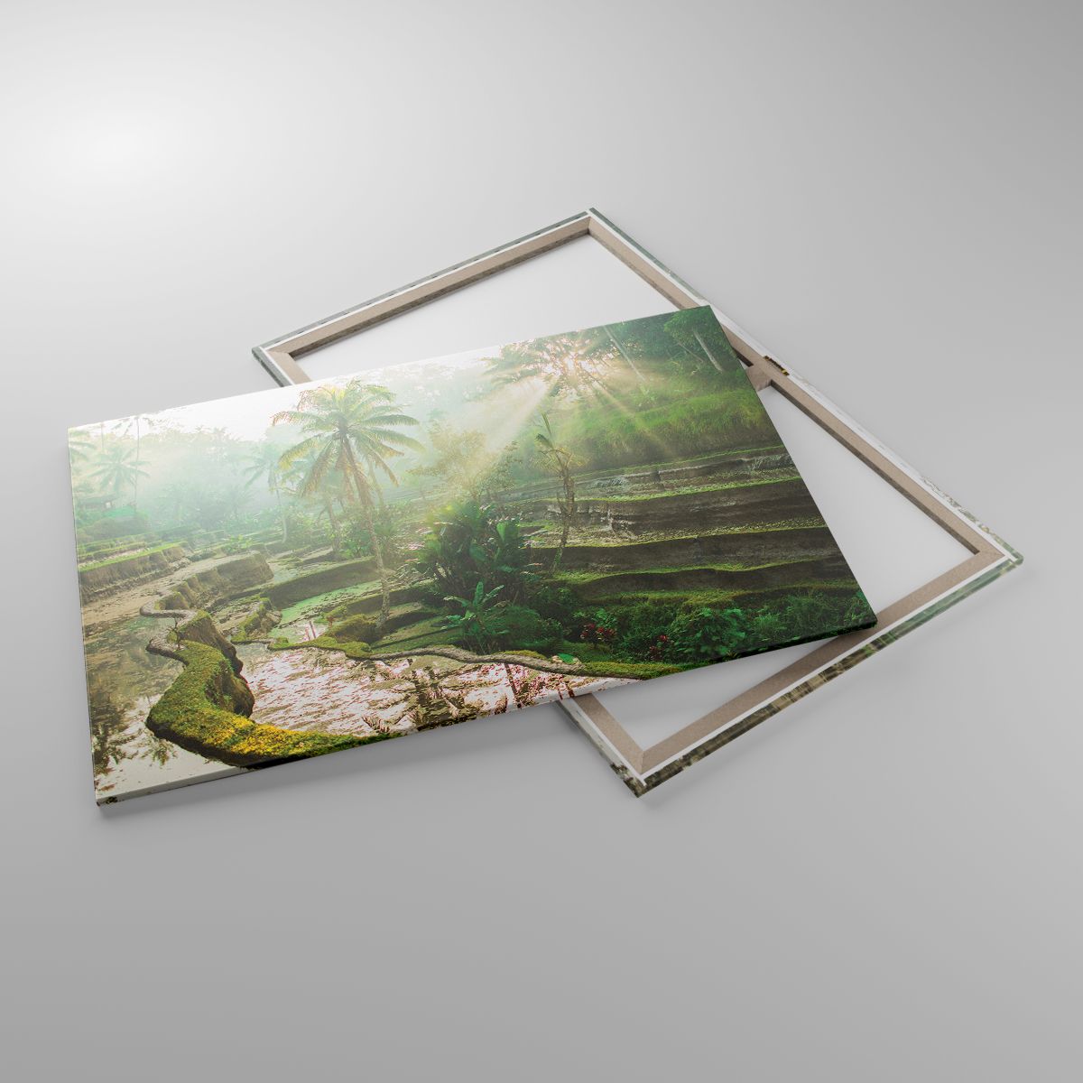 Leinwandbild Landschaft, Leinwandbild Reisfelder, Leinwandbild Asien, Leinwandbild Natur, Leinwandbild China