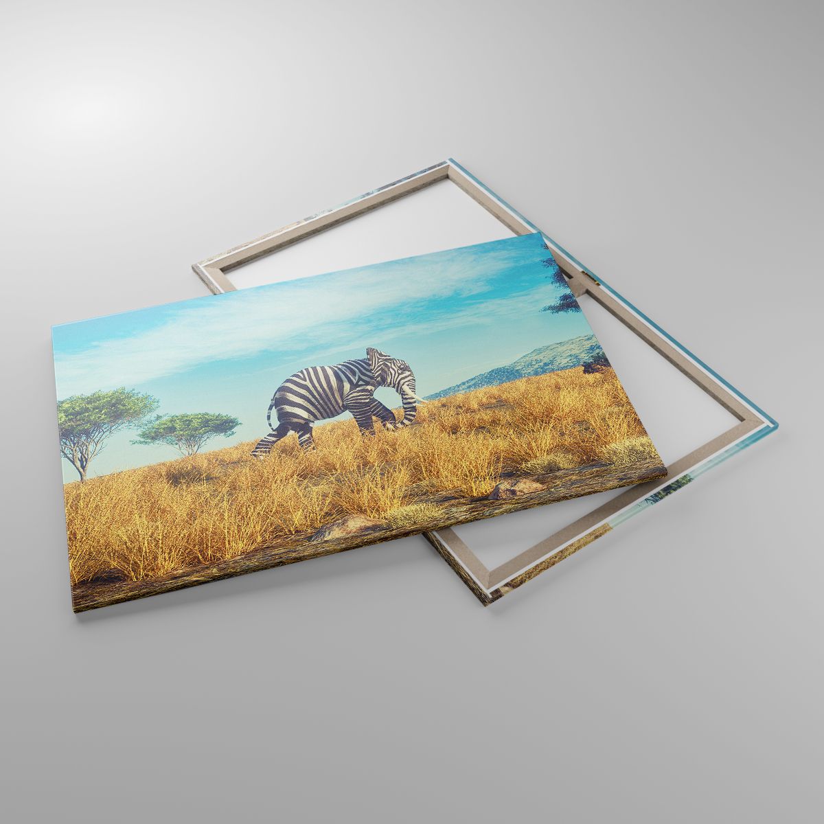 Leinwandbild Abstraktion, Leinwandbild Elefant, Leinwandbild Rippen, Leinwandbild Landschaft, Leinwandbild Afrika