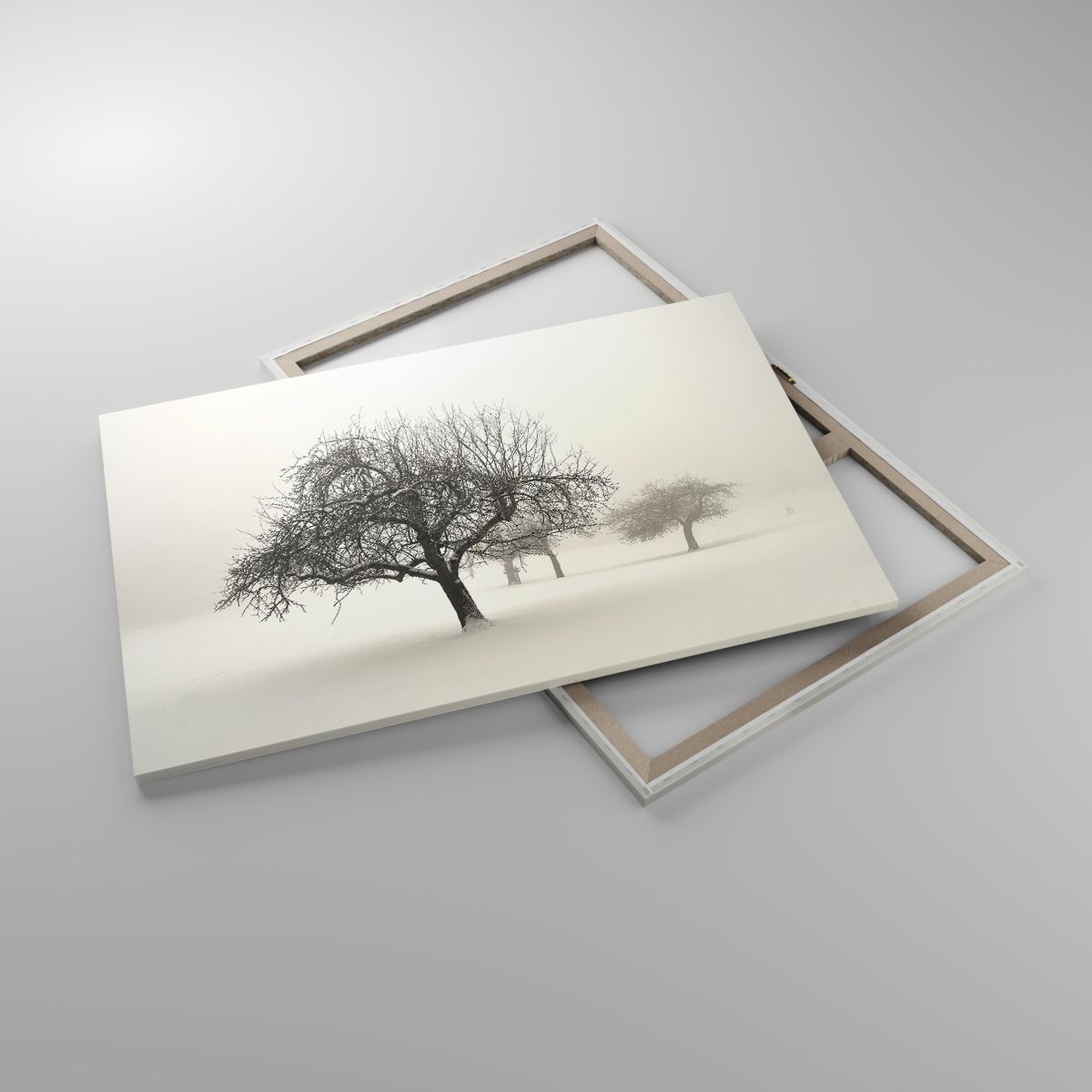 Obrazy Grafika, Obrazy Drzewo, Obrazy Natura, Obrazy Zima, Obrazy Mgła