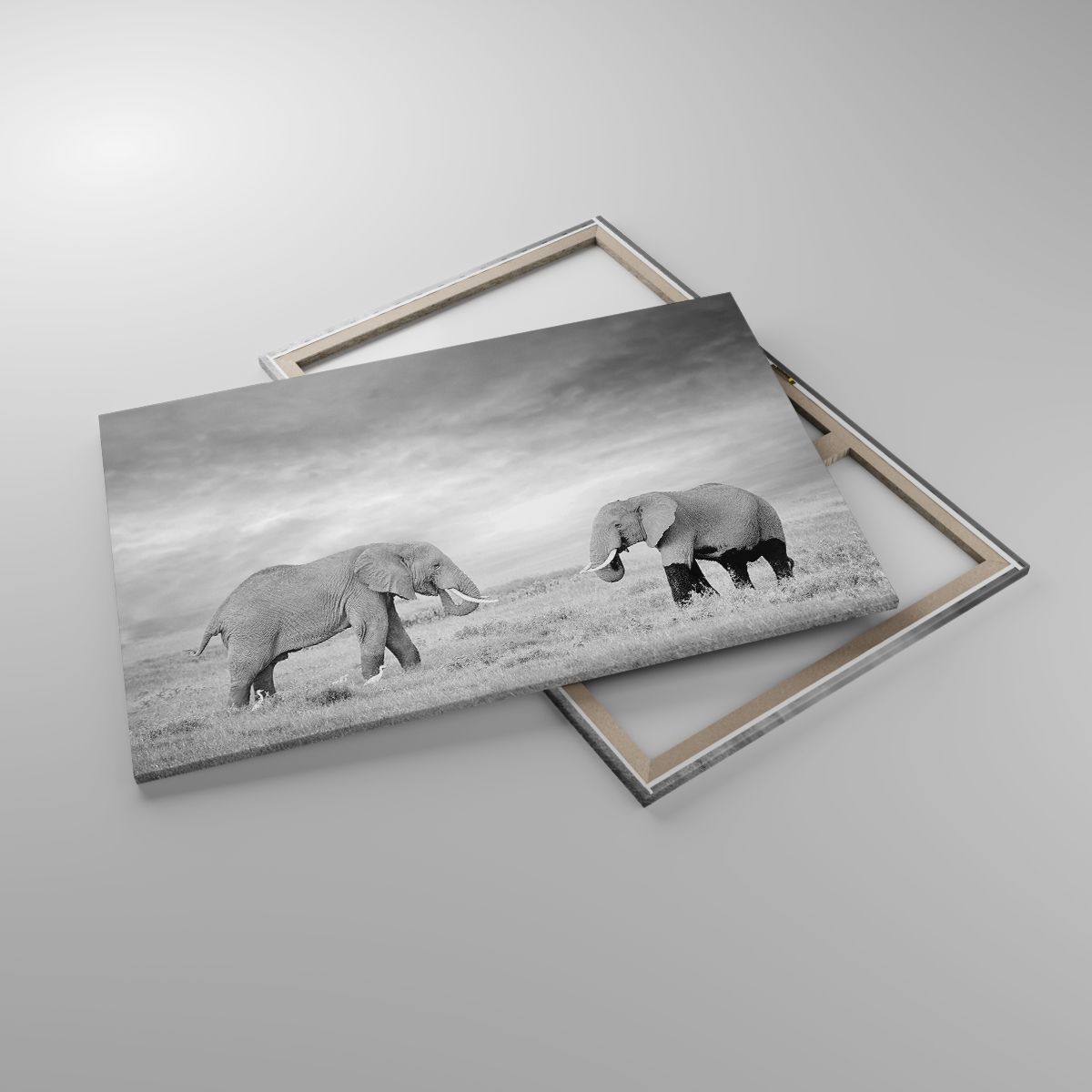 Obrazy Słoń, Obrazy Zwierzęta, Obrazy Safari, Obrazy Afryka, Obrazy Natura