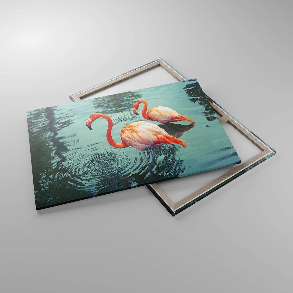 Obrazy Flamingi, Obrazy Ptaki, Obrazy Natura, Obrazy Zwierzęta, Obrazy Tropiki