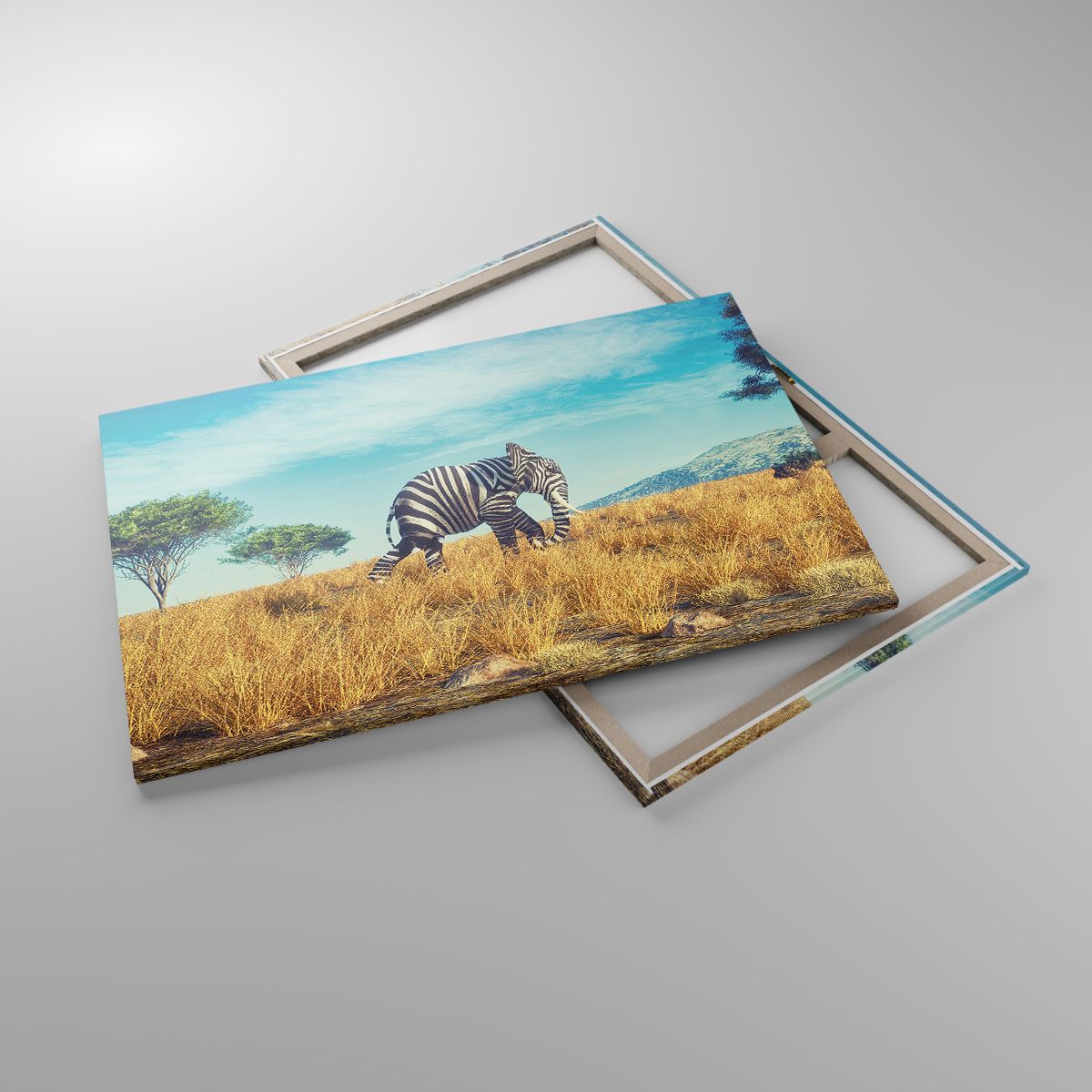 Leinwandbild Abstraktion, Leinwandbild Elefant, Leinwandbild Rippen, Leinwandbild Landschaft, Leinwandbild Afrika