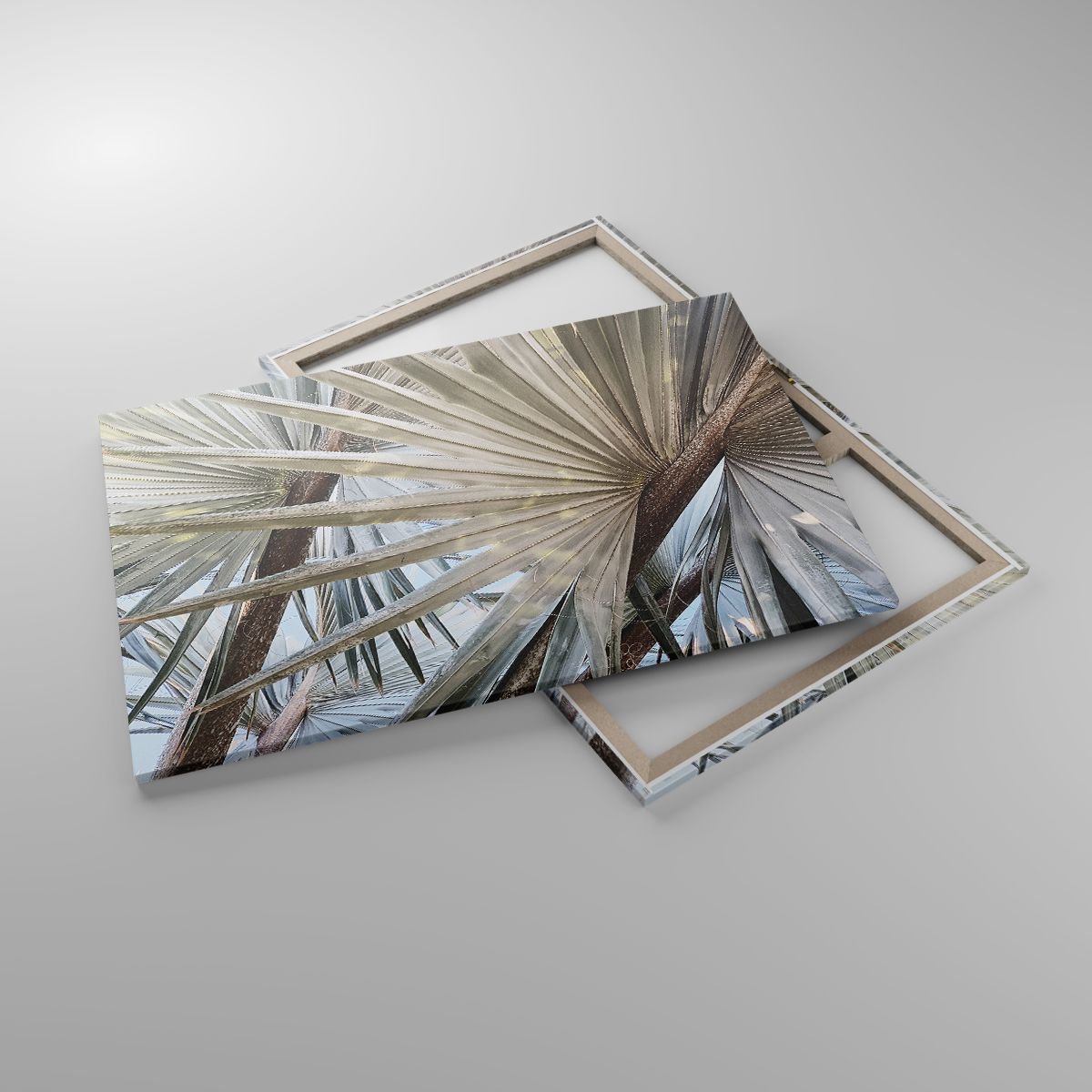 Leinwandbild Palmblatt, Leinwandbild Kokusnuss-Palme, Leinwandbild Natur, Leinwandbild Tropen, Leinwandbild Exotische Pflanze