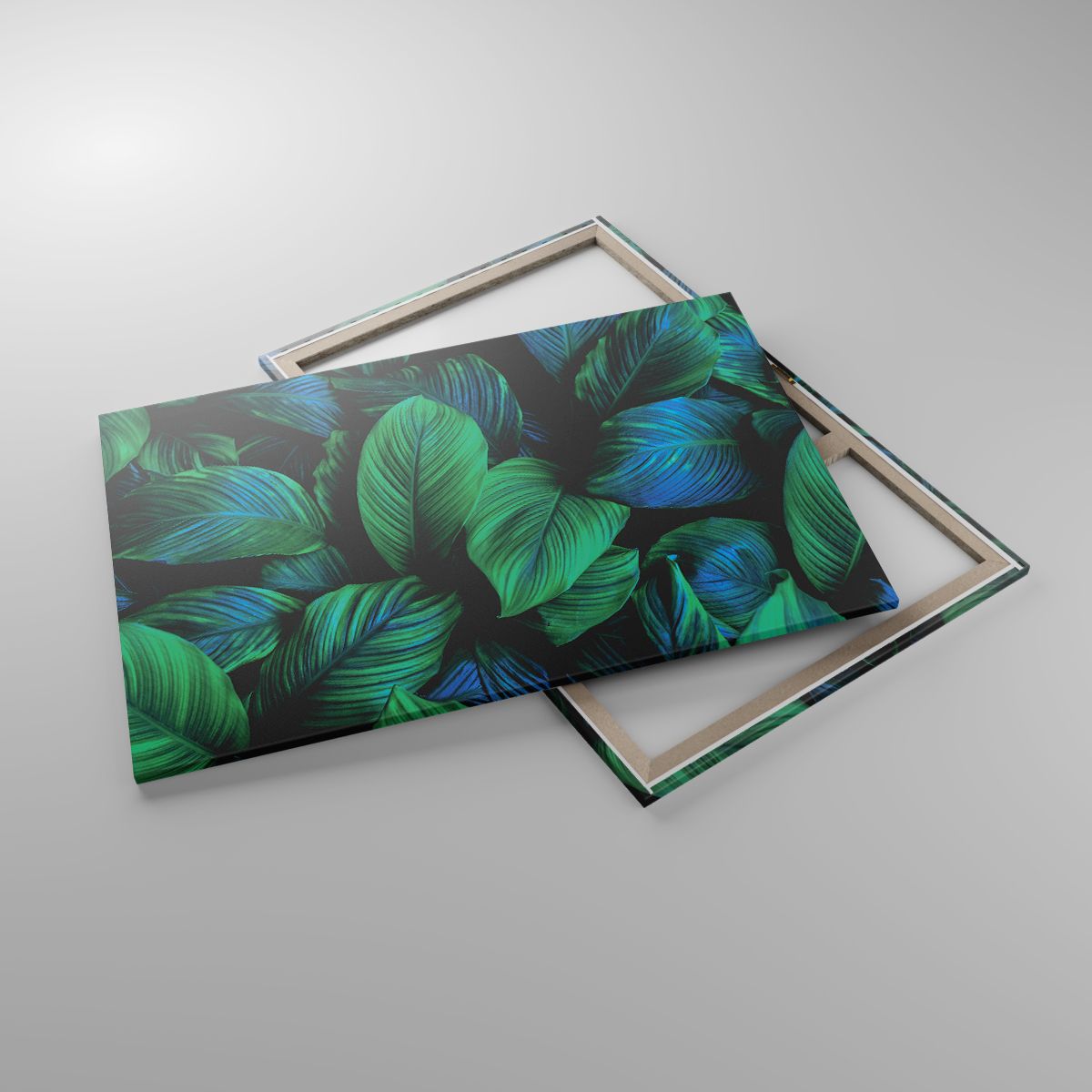 Leinwandbild Grüne Blätter, Leinwandbild Tropische Pflanze, Leinwandbild Natur, Leinwandbild Kunst, Leinwandbild Tropen