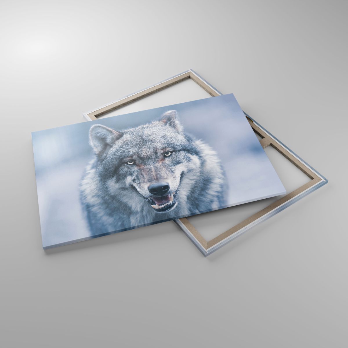 Leinwandbild Wolf, Leinwandbild Raubtier, Leinwandbild Tiere, Leinwandbild Natur, Leinwandbild Natur