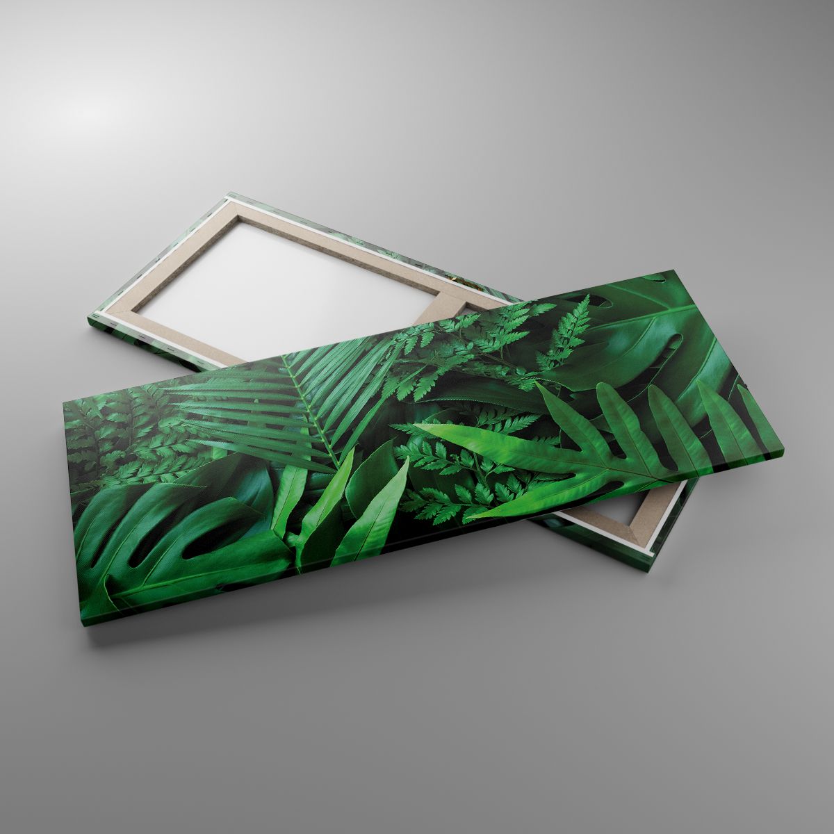 Leinwandbild Exotische Pflanze, Leinwandbild Palmblatt, Leinwandbild Monstera-Blatt, Leinwandbild Natur, Leinwandbild Tropen