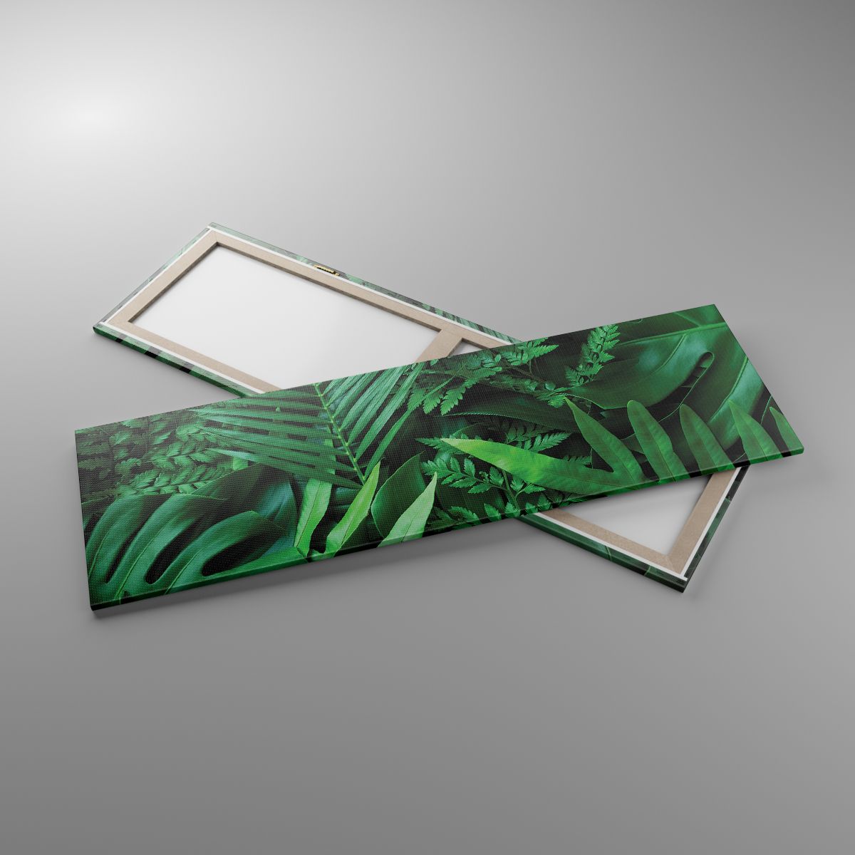 Leinwandbild Exotische Pflanze, Leinwandbild Palmblatt, Leinwandbild Monstera-Blatt, Leinwandbild Natur, Leinwandbild Tropen