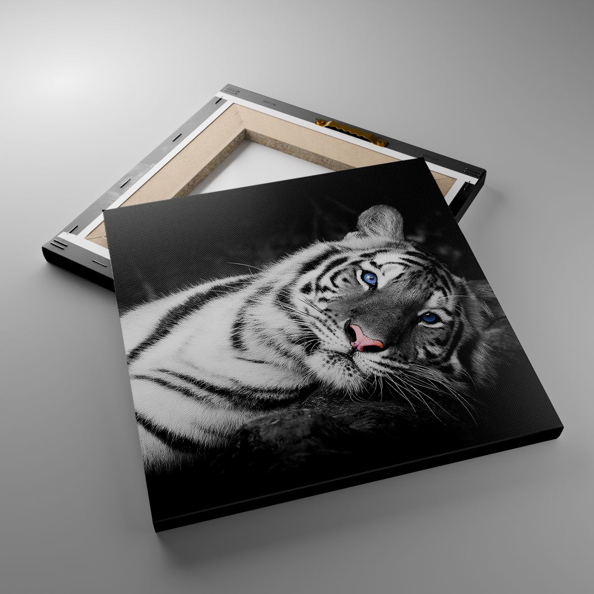 Obrazy Tygrys Biały, Obrazy Tygrys, Obrazy Zwierzęta, Obrazy Natura, Obrazy Czarno-Biały