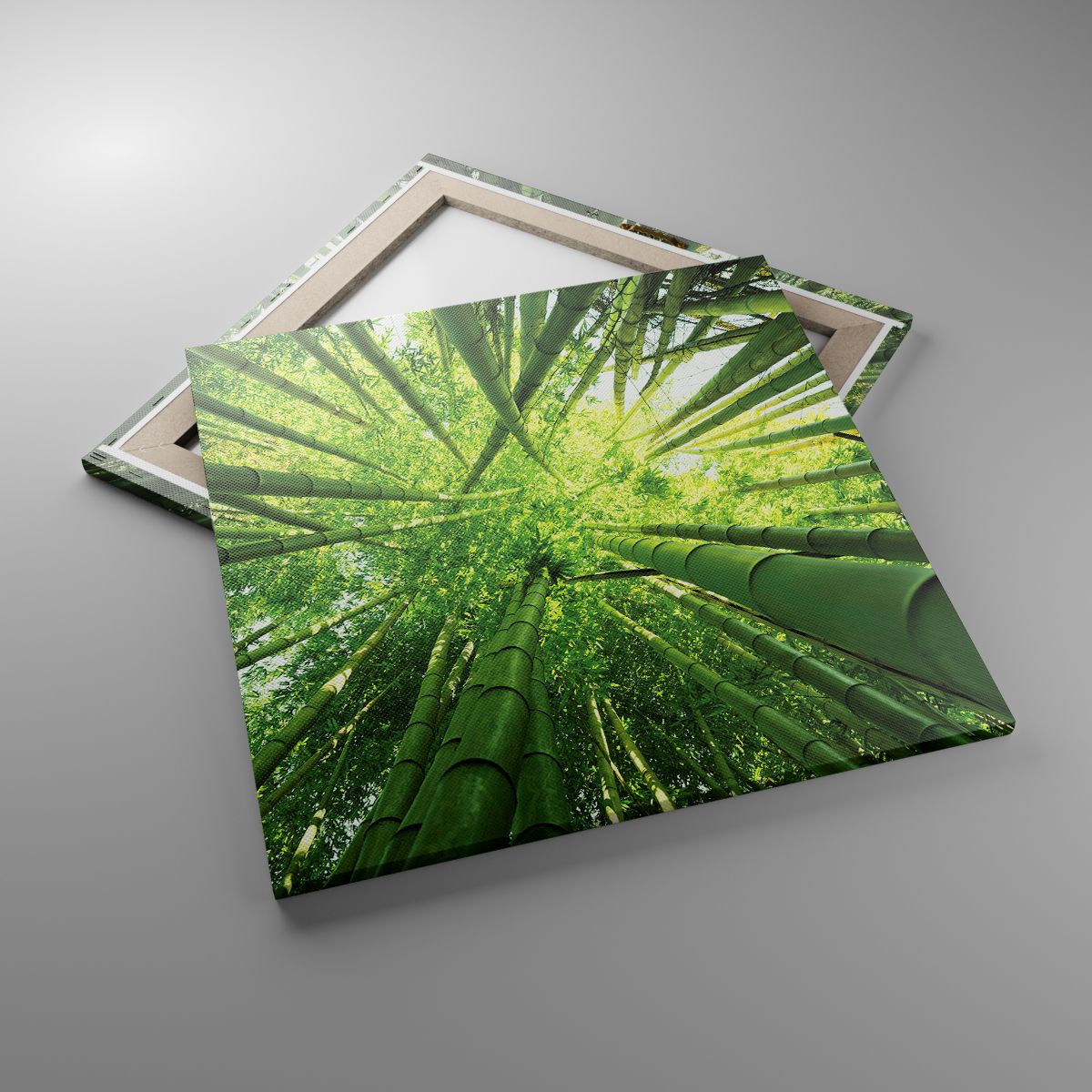 Obrazy Las Bambusowy, Obrazy Dżungla, Obrazy Bambus, Obrazy Natura, Obrazy Japonia