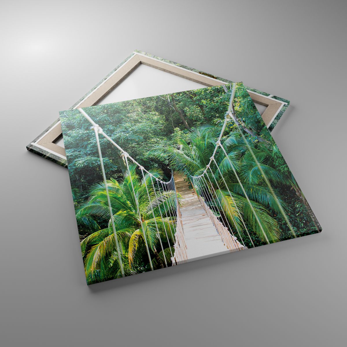 Impression Paysage, Impression Jungle, Impression Honduras, Impression Pont Suspendu, Impression La Nature