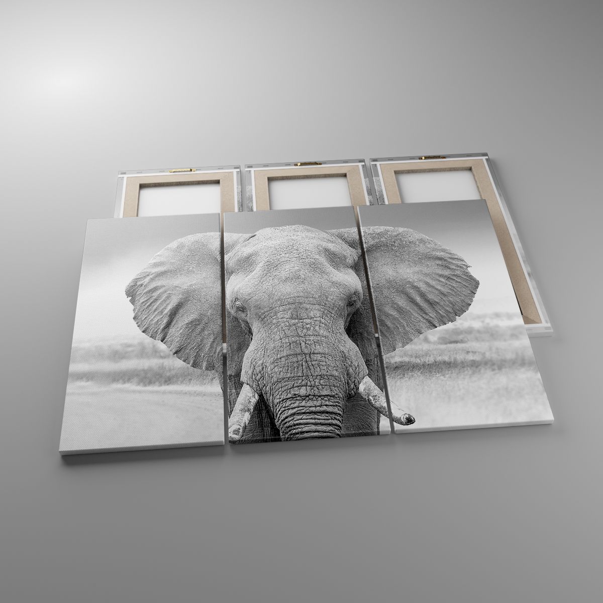 Leinwandbild Elefant, Leinwandbild Afrika, Leinwandbild Tiere, Leinwandbild Natur, Leinwandbild Schwarz Und Weiß