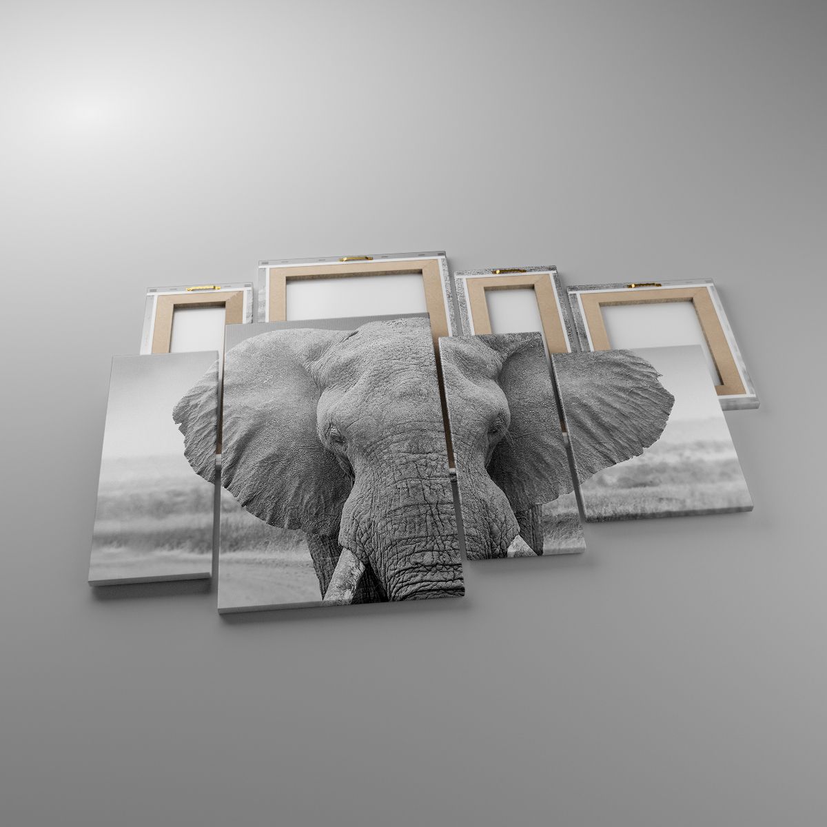 Leinwandbild Elefant, Leinwandbild Afrika, Leinwandbild Tiere, Leinwandbild Natur, Leinwandbild Schwarz Und Weiß