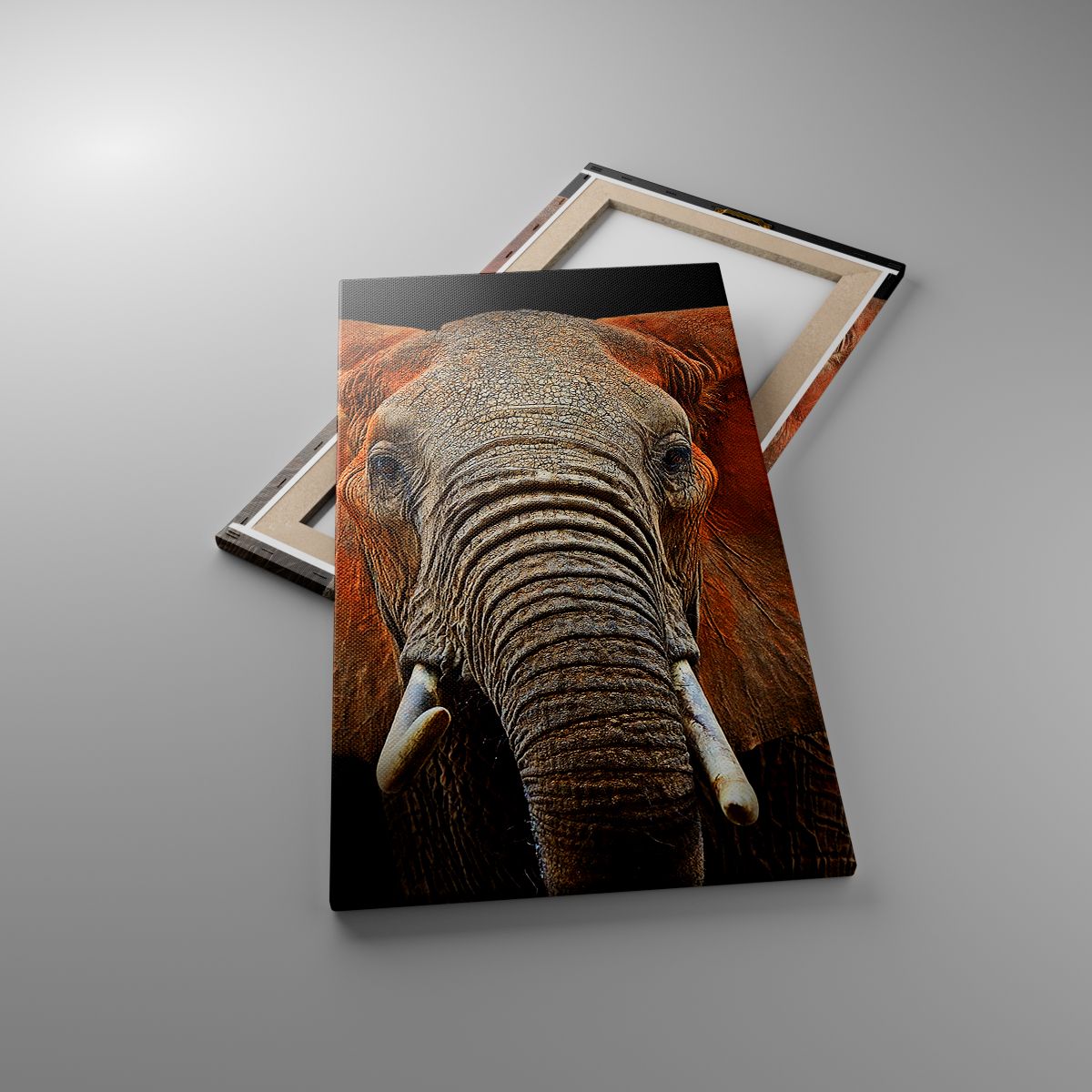 Obrazy Słoń, Obrazy Zwierzęta, Obrazy Afryka, Obrazy Natura, Obrazy Safari