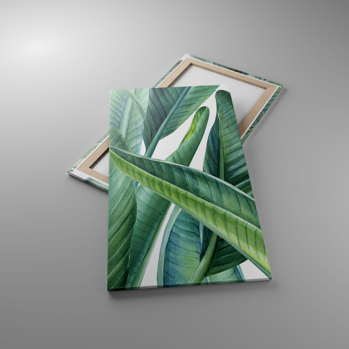 Obrazy Zielone Liście, Obrazy Roślina Tropikalna, Obrazy Natura, Obrazy Grafika, Obrazy Akwarele