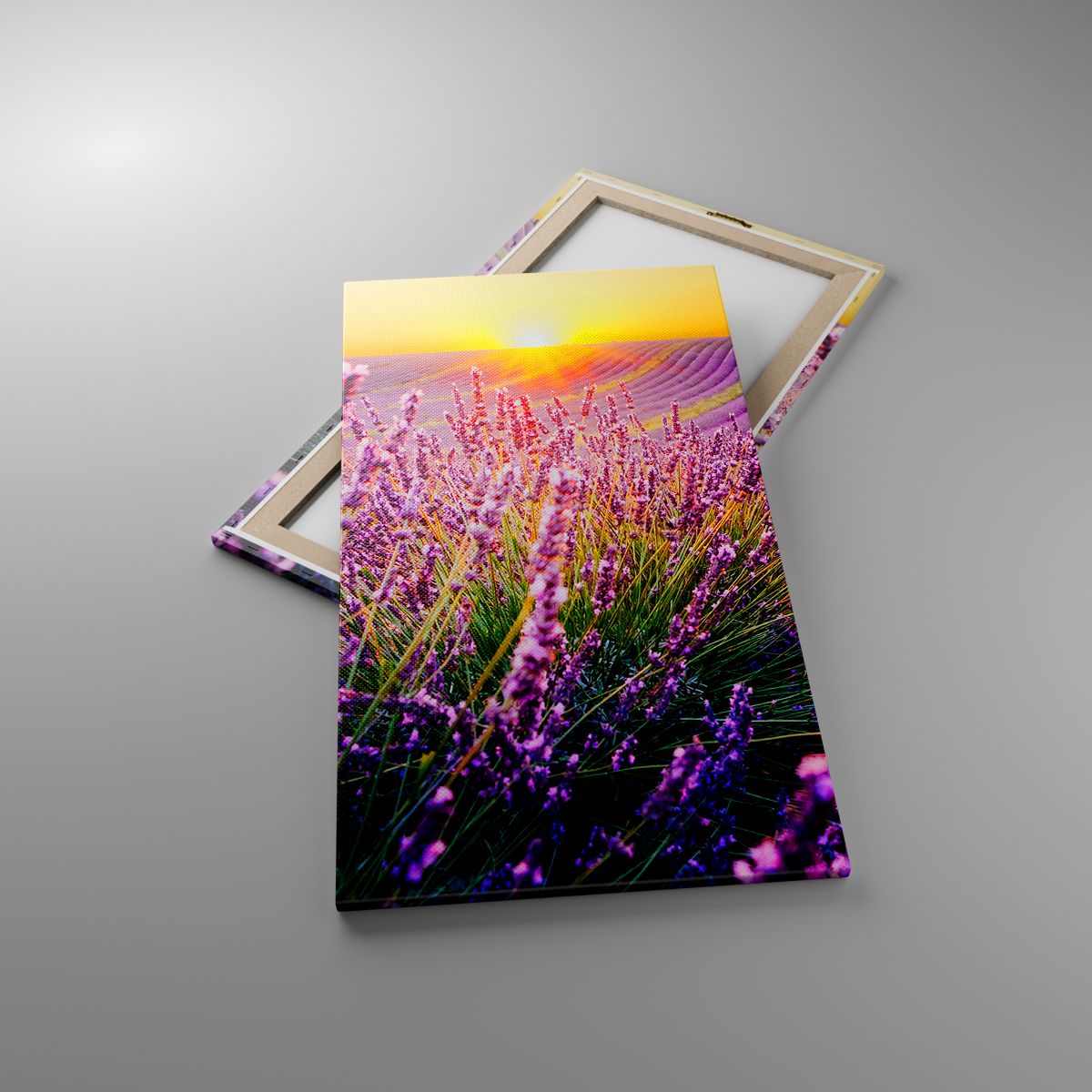 Billede på lærred Landskab, Billede på lærred Lavendelmark, Billede på lærred Provence, Billede på lærred Frankrig, Billede på lærred Natur