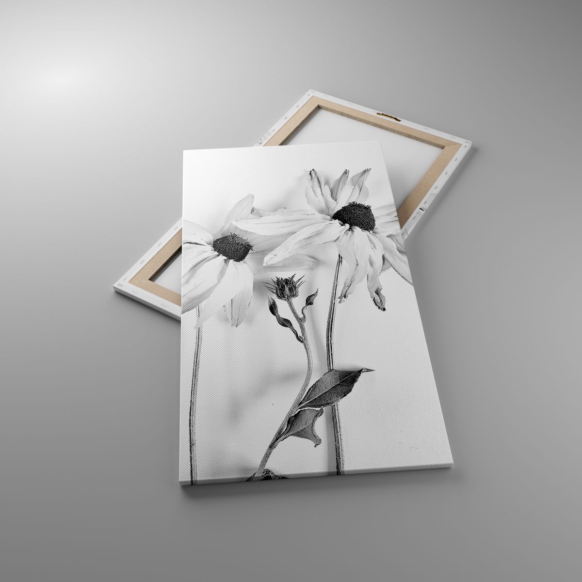 Leinwandbild Blumen, Leinwandbild Schwarz Und Weiß, Leinwandbild Natur, Leinwandbild Schwarz Und Weiß, Leinwandbild Moderne Kunst