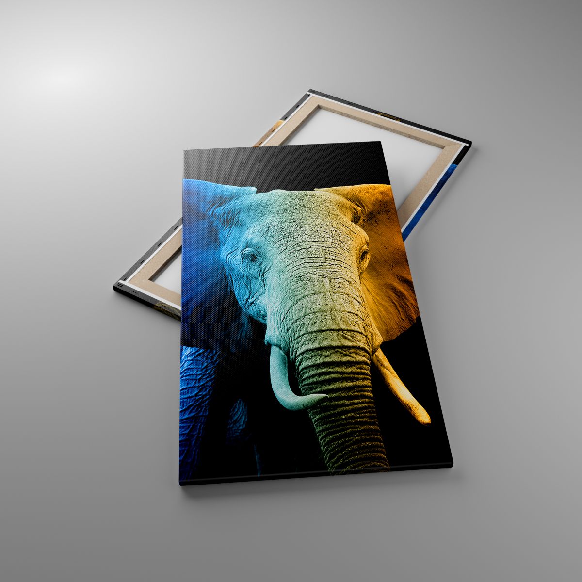 Leinwandbild Abstraktion, Leinwandbild Elefant, Leinwandbild Tiere, Leinwandbild Afrika, Leinwandbild Safari