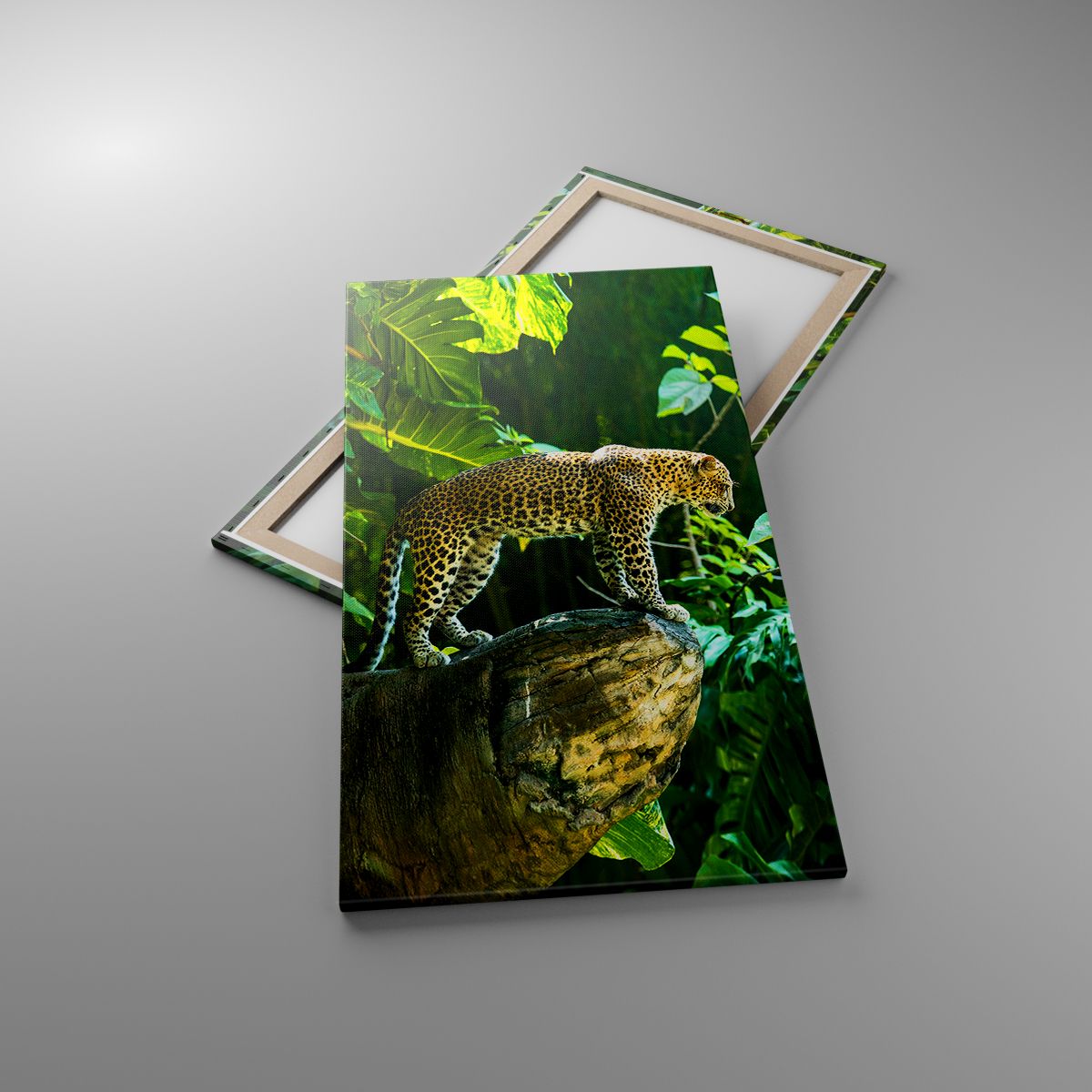 Obrazy Dżungla, Obrazy Lampart, Obrazy Tropiki, Obrazy Zwierzęta, Obrazy Natura