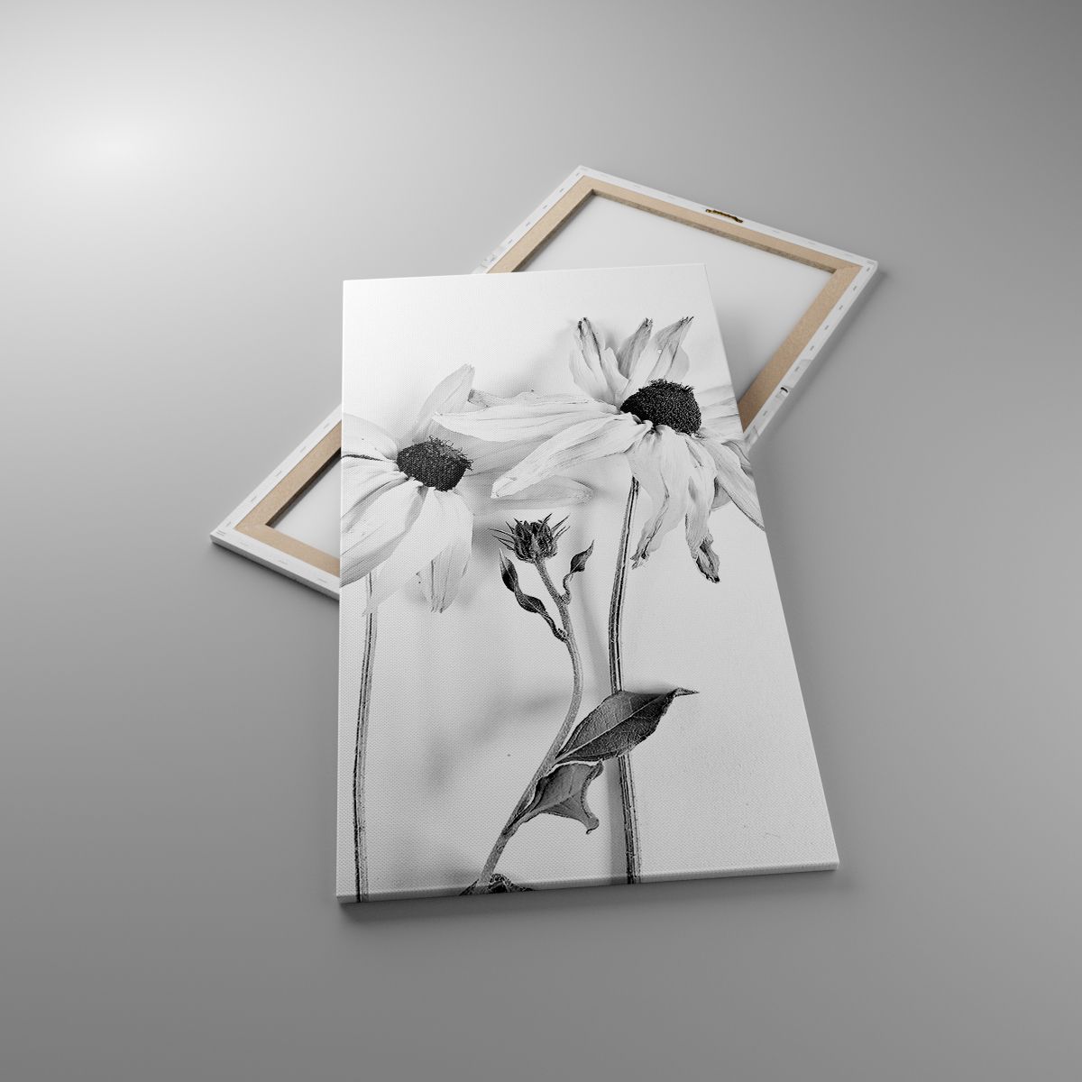 Leinwandbild Blumen, Leinwandbild Schwarz Und Weiß, Leinwandbild Natur, Leinwandbild Schwarz Und Weiß, Leinwandbild Moderne Kunst