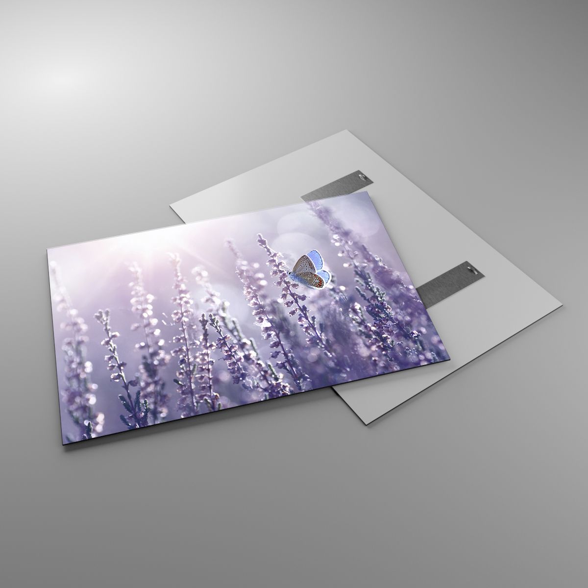 Glasbild Schmetterling, Glasbild Wiese, Glasbild Blume, Glasbild Natur, Glasbild Violette Farben