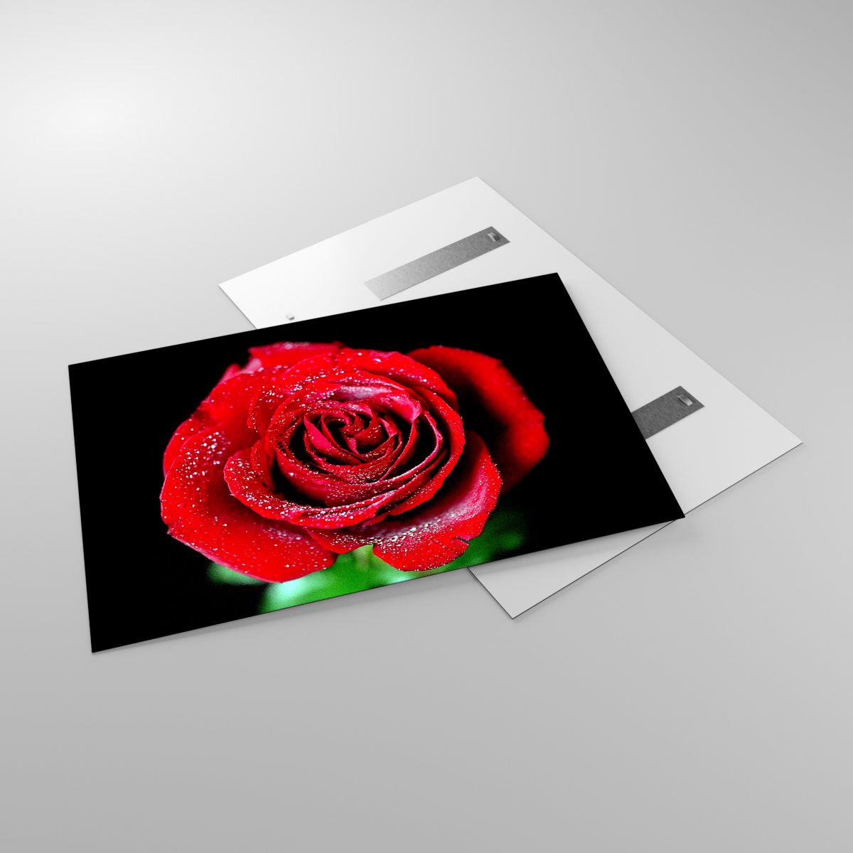 Glasbild Blumen, Glasbild Rote Rose, Glasbild Rosenblätter, Glasbild Liebe, Glasbild Wassertropfen