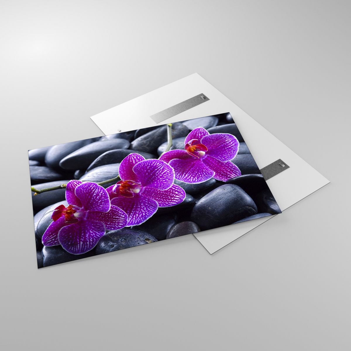 Glasbild Blumen, Glasbild Steine, Glasbild Orchidee, Glasbild Orchidee, Glasbild Spa