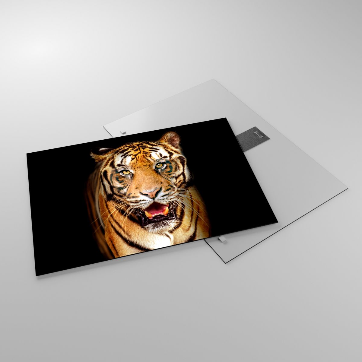 Glasbild Tiere, Glasbild Tiger, Glasbild Raubtier, Glasbild Safari, Glasbild Afrika