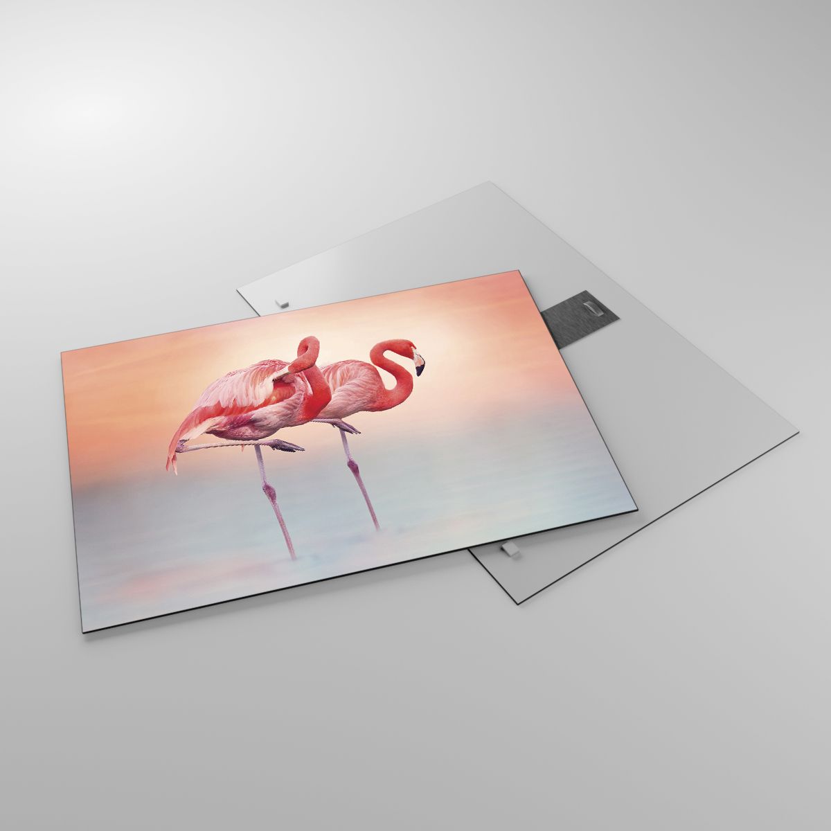 Obraz na plátne Flamingo'S, Obraz na plátne De Vogels, Obraz na plátne Natuur, Obraz na plátne Dieren, Obraz na plátne Pastelkleuren