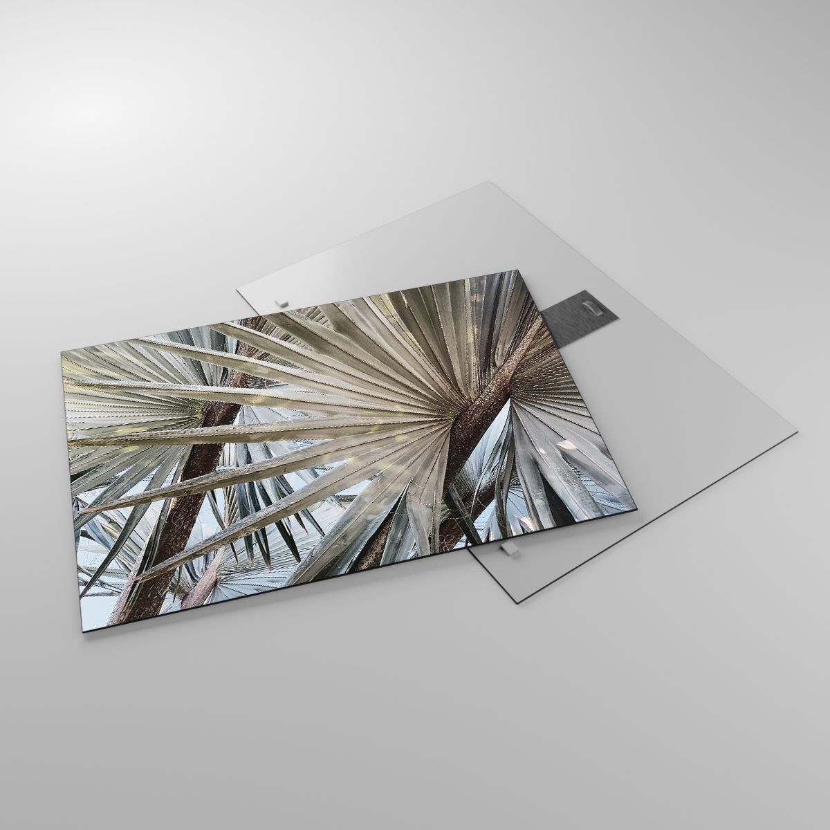 Billede på glas Palmeblad, Billede på glas Kokospalme, Billede på glas Natur, Billede på glas Troperne, Billede på glas Eksotisk plante