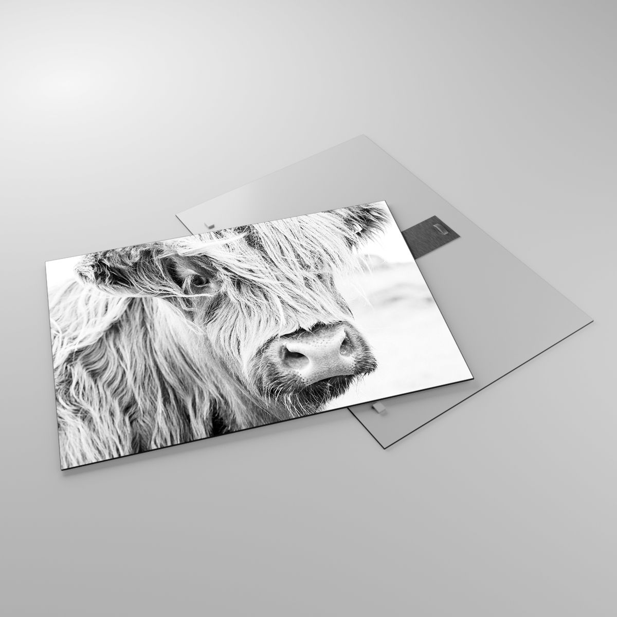 Obraz na skle Kráva Ze Skotské Vysočiny, Obraz na skle Zvířata, Obraz na skle Černý A Bílý, Obraz na skle Skotsko, Obraz na skle Moderní Umění