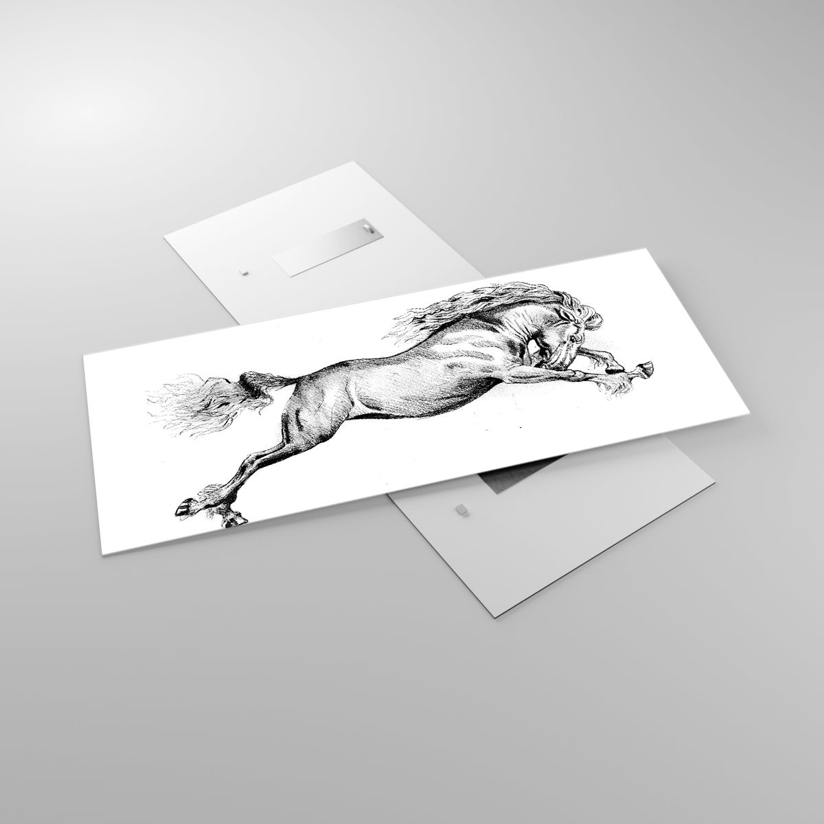 Obrazy Koń, Obrazy Zwierzęta, Obrazy Grafika, Obrazy Czarno-Biały, Obrazy Skok