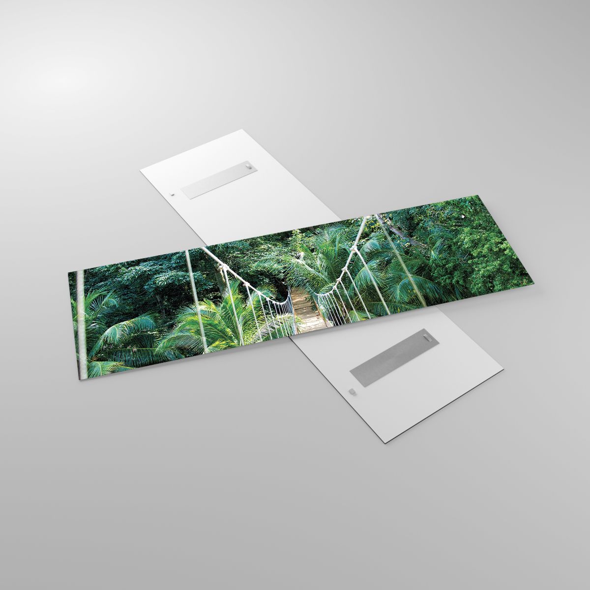 Obrazy Krajobraz, Obrazy Dżungla, Obrazy Honduras, Obrazy Wiszący Most, Obrazy Natura