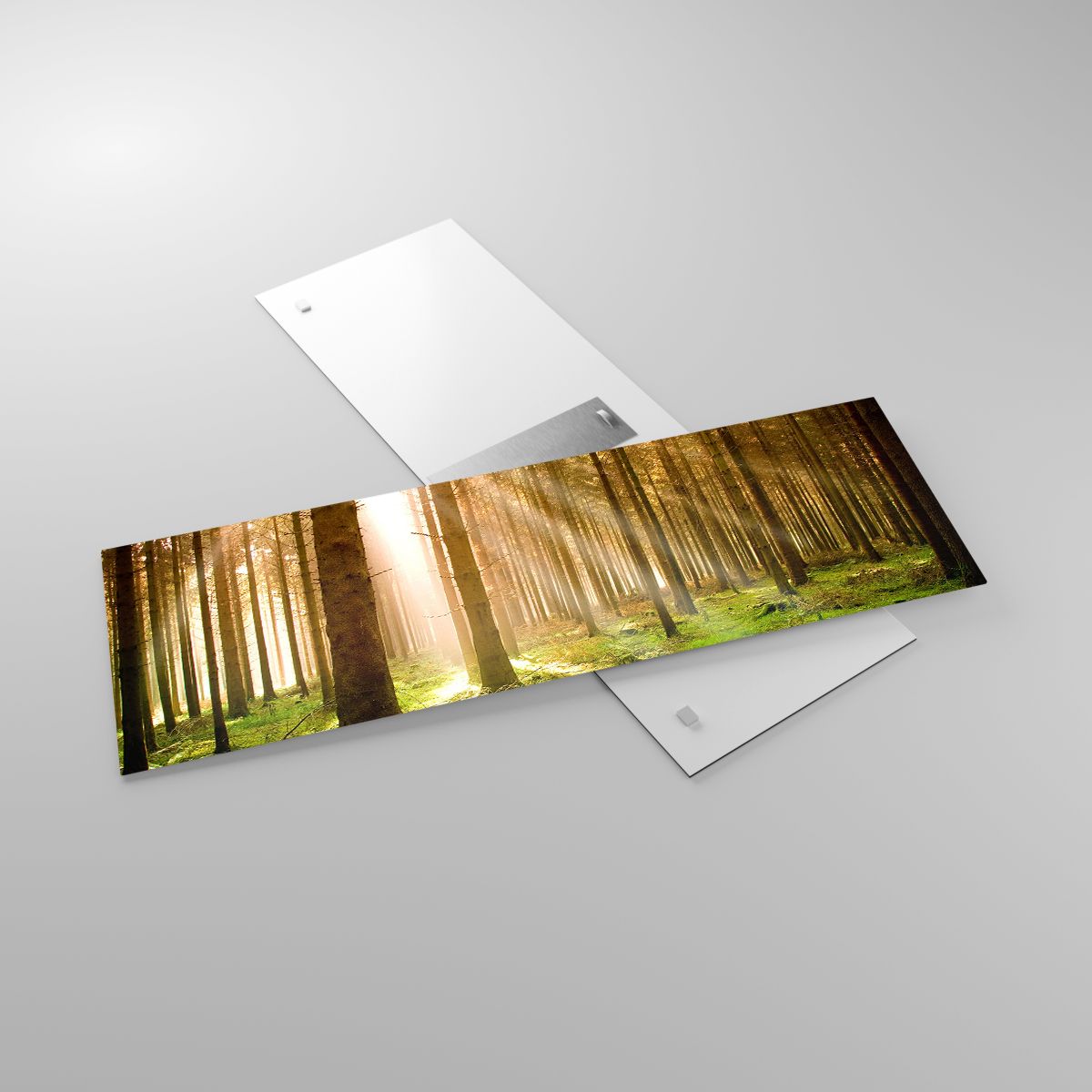 Glasbild Wald, Glasbild Sonnenstrahlen, Glasbild Natur, Glasbild Landschaft, Glasbild Landschaft