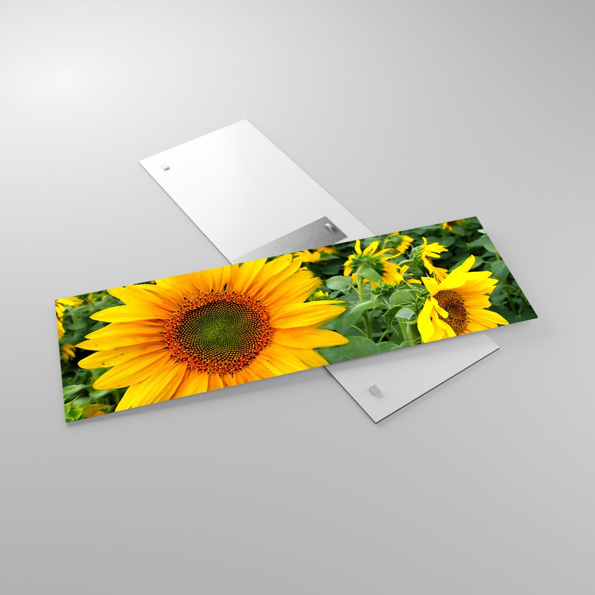 Glasbild Blumen, Glasbild Sonnenblumen, Glasbild Natur, Glasbild Garten, Glasbild Gelbe Blumen