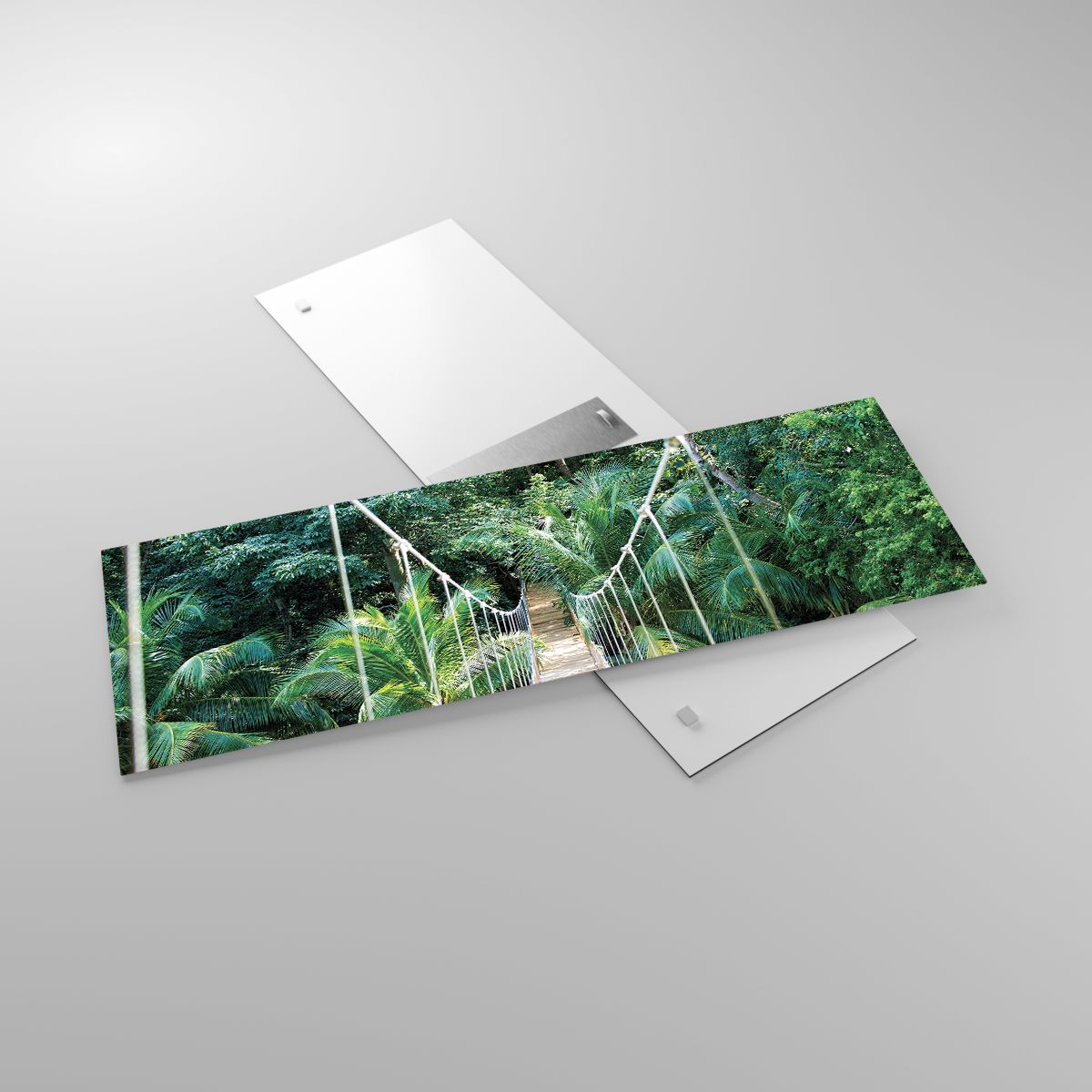 Obraz na plátne Landschap, Obraz na plátne Jungle, Obraz na plátne Honduras, Obraz na plátne Hangbrug, Obraz na plátne Natuur